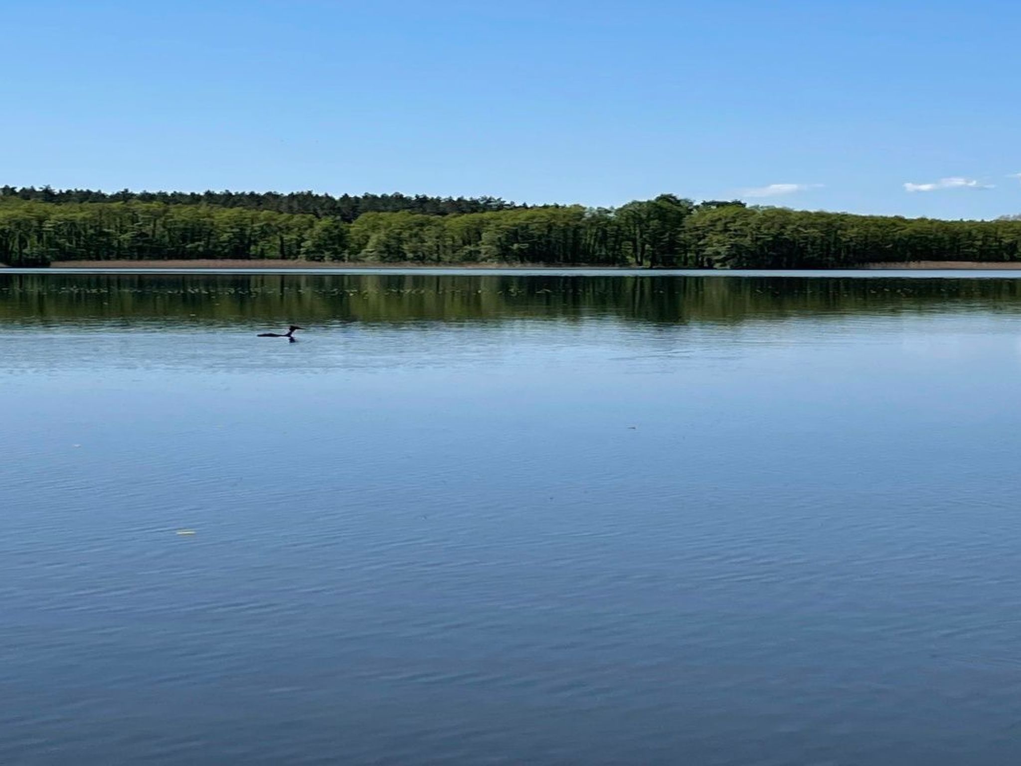 Charmantes kleines Häuschen am Blauen See