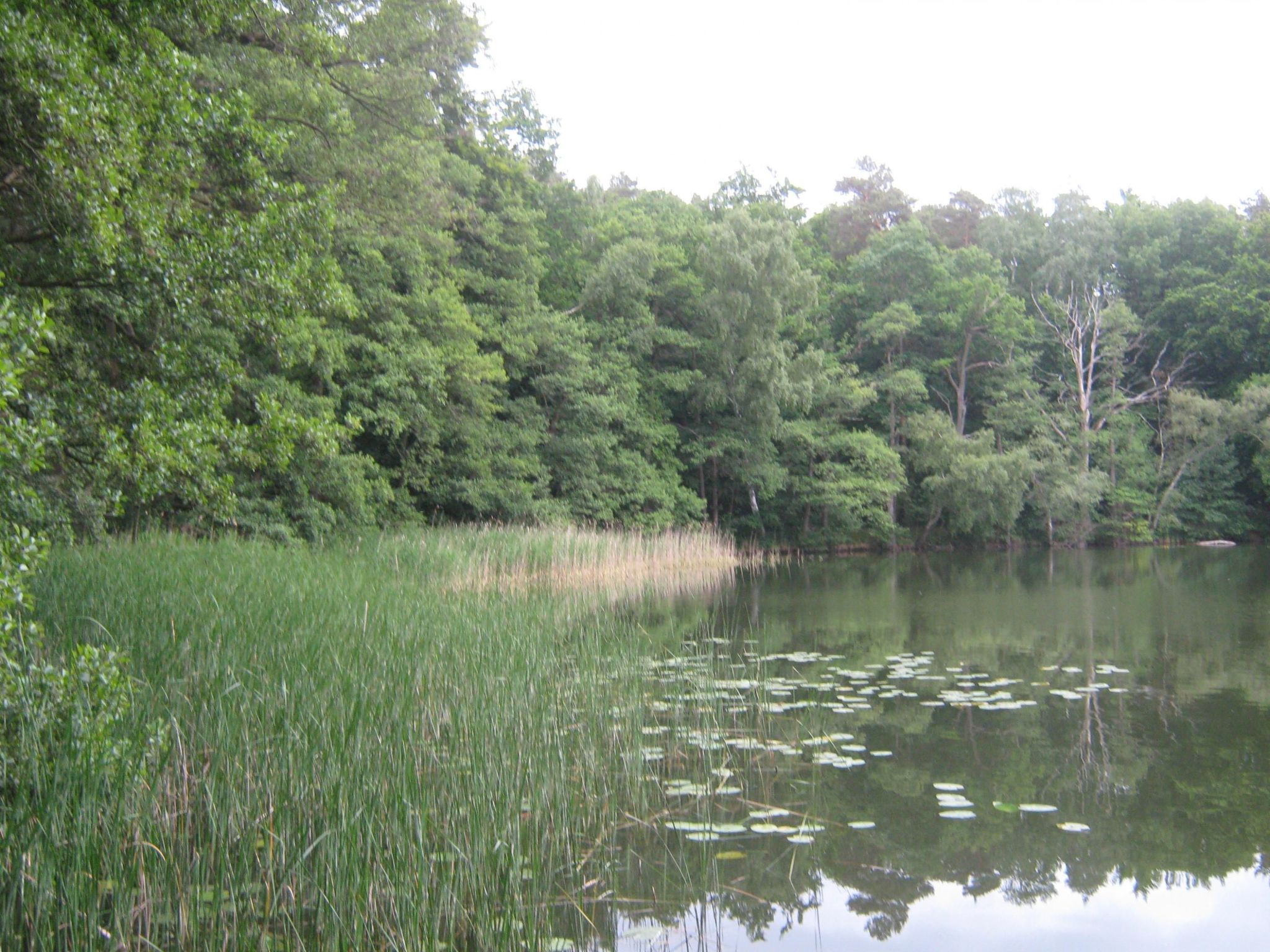 Bungalow-Image-tags.info