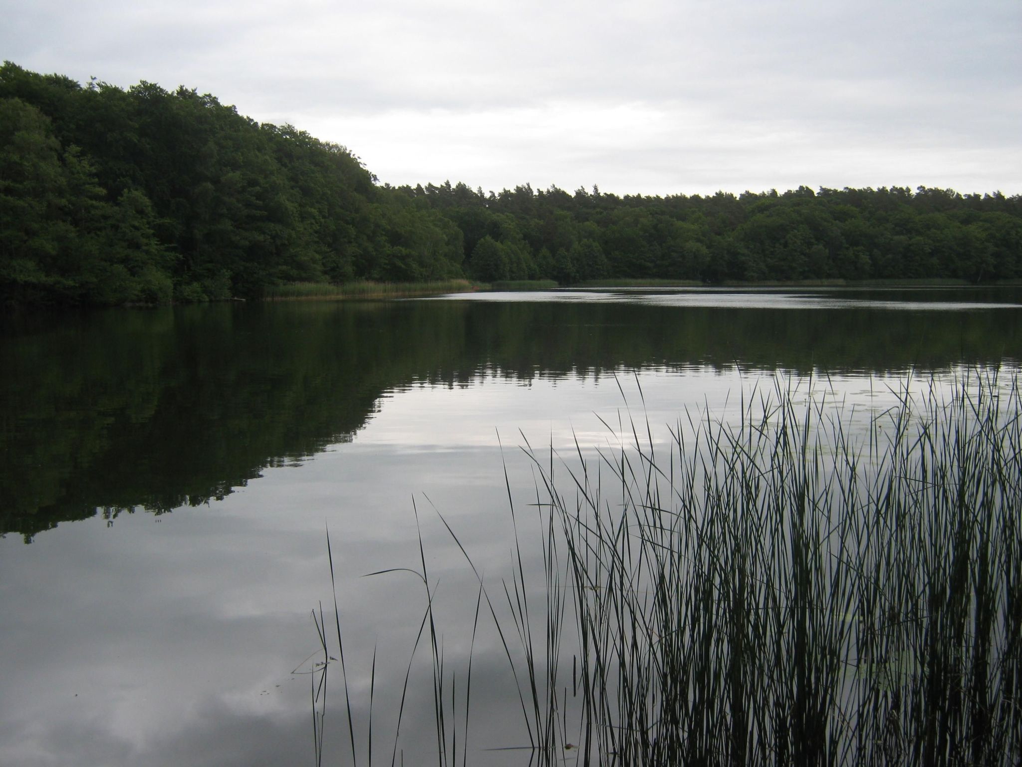 Bungalow-Image-tags.info