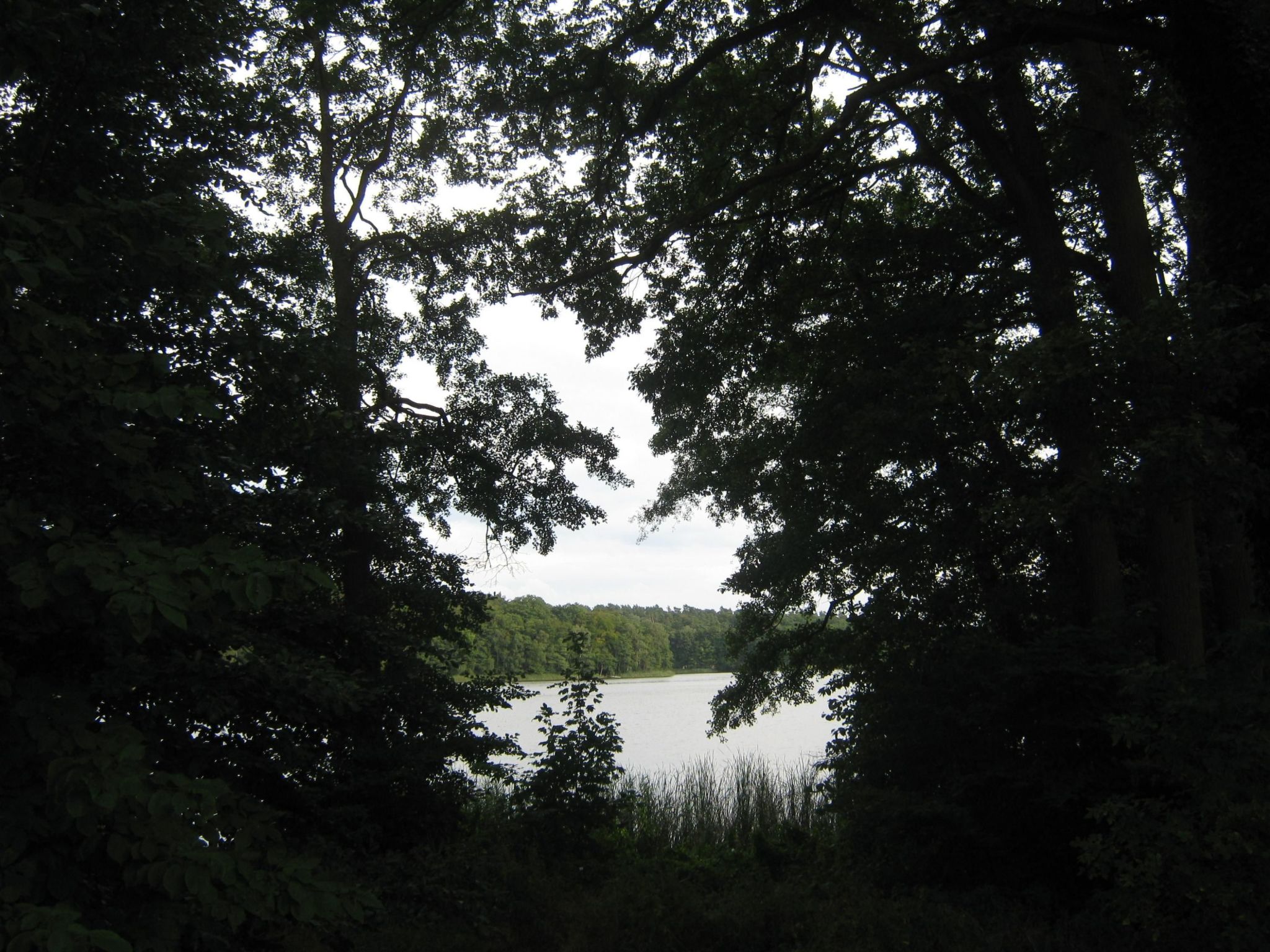 Kinkerbungalow-Image-tags.info