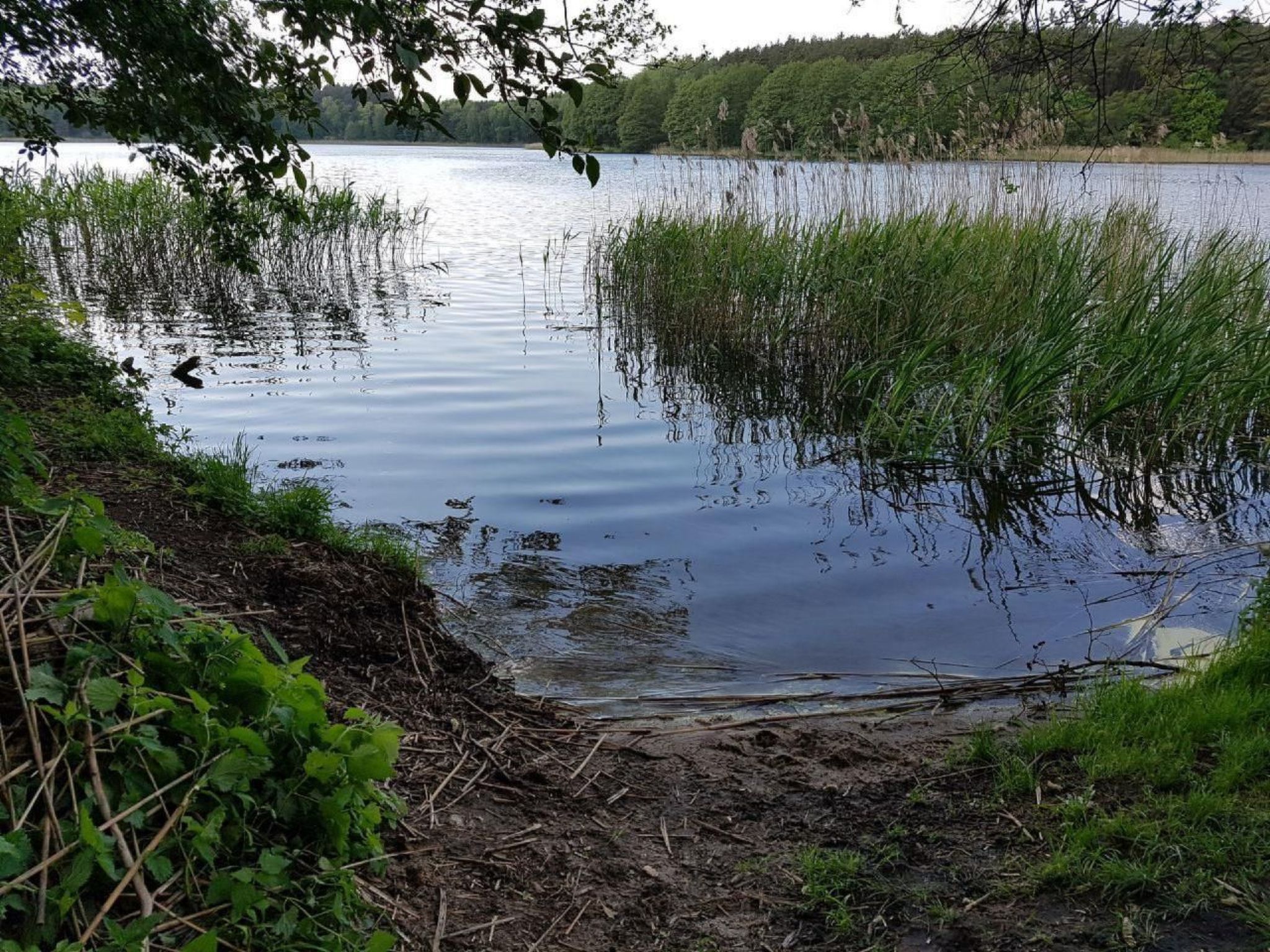 Bungalow Stuebner-Dedans