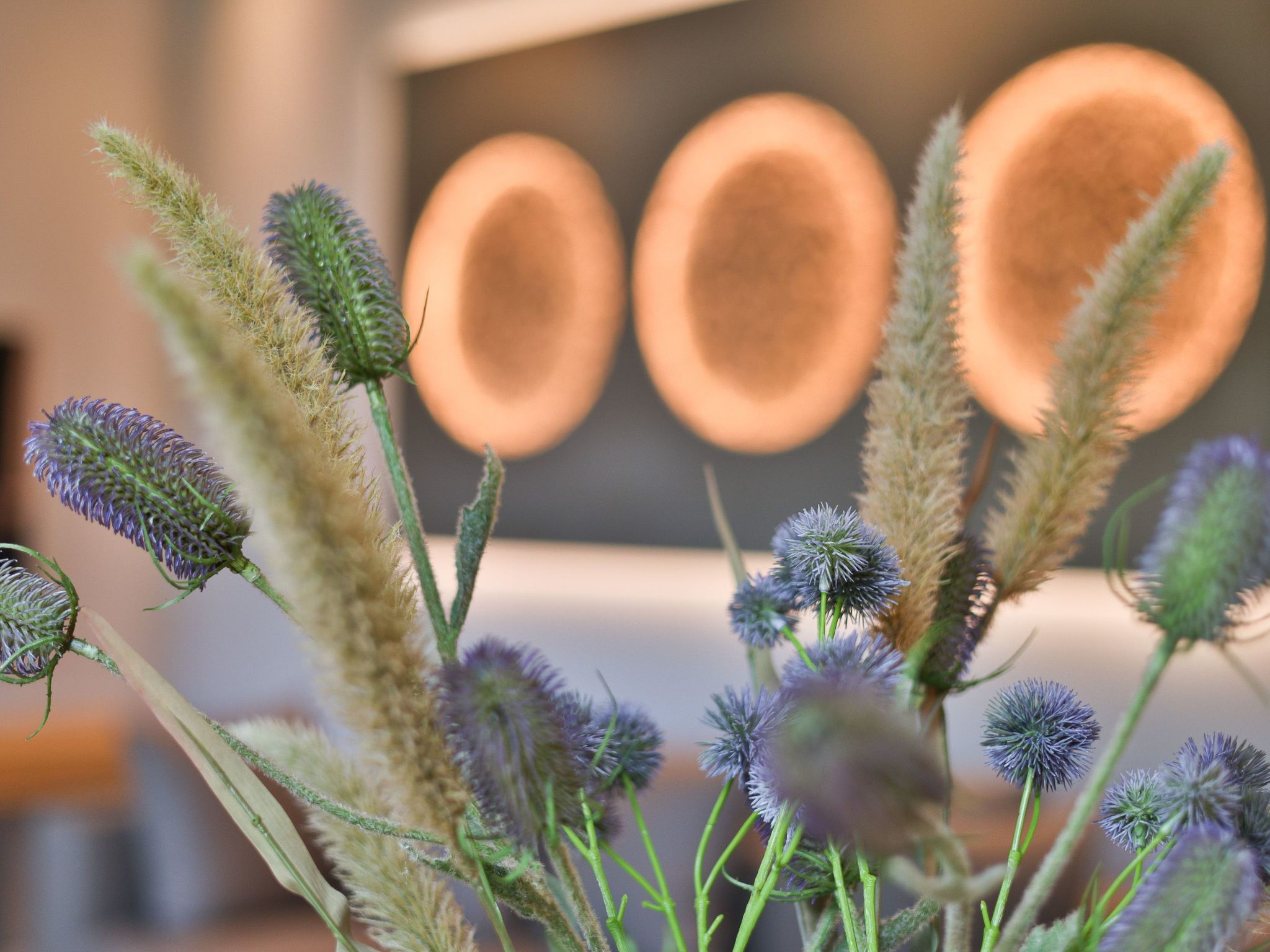 Appartement in Binz mit Großer Terrasse-Image-tags.info