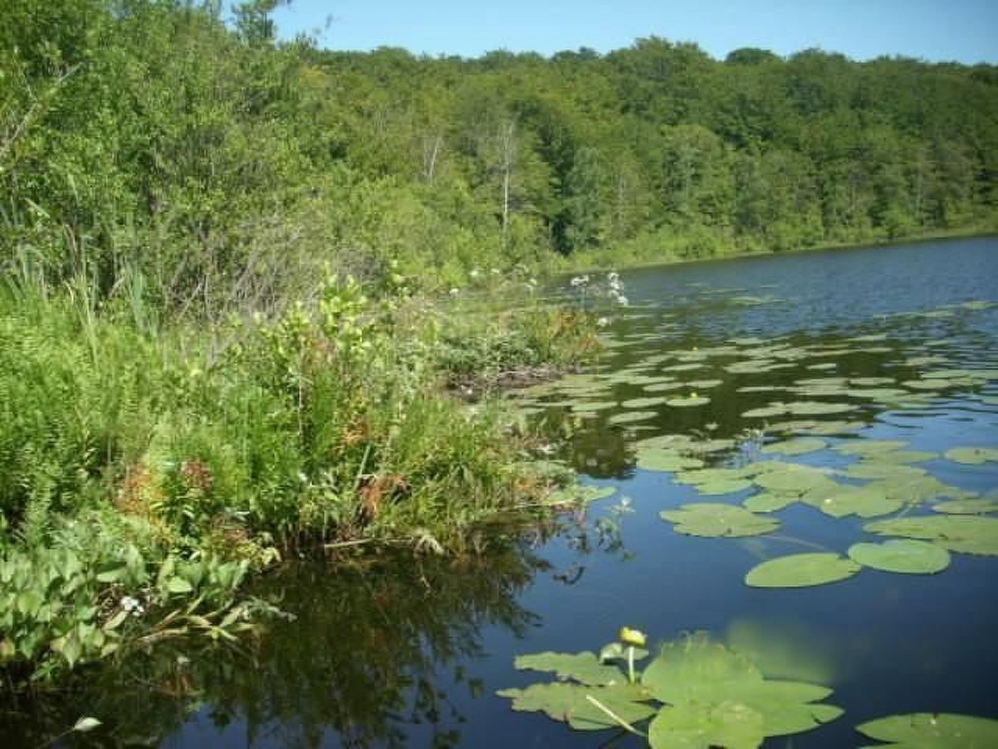 Domizil für zwei-Binnen