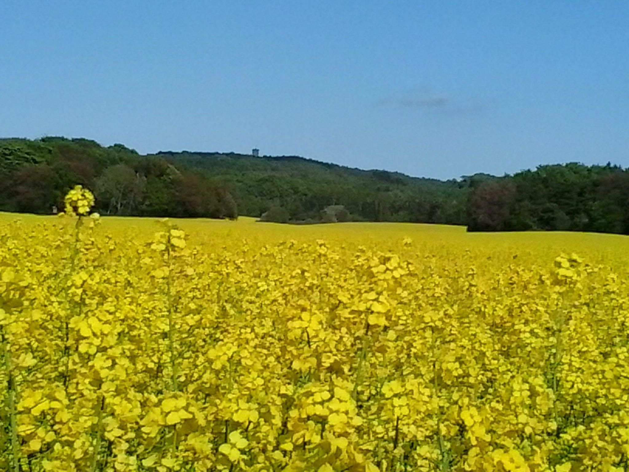Domizil für zwei-Binnen