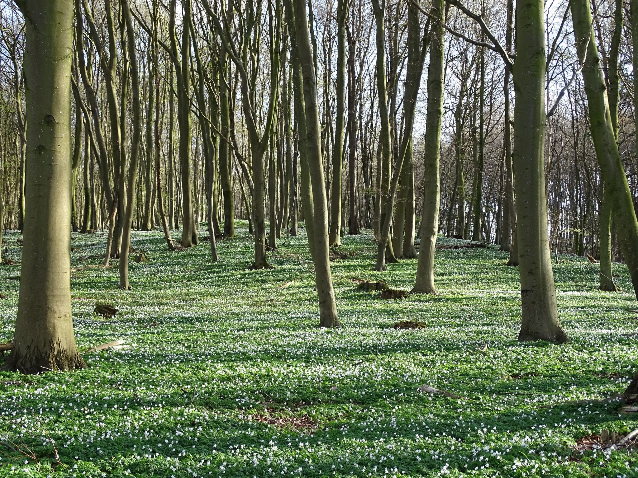 Ferienwohnung-Binnen