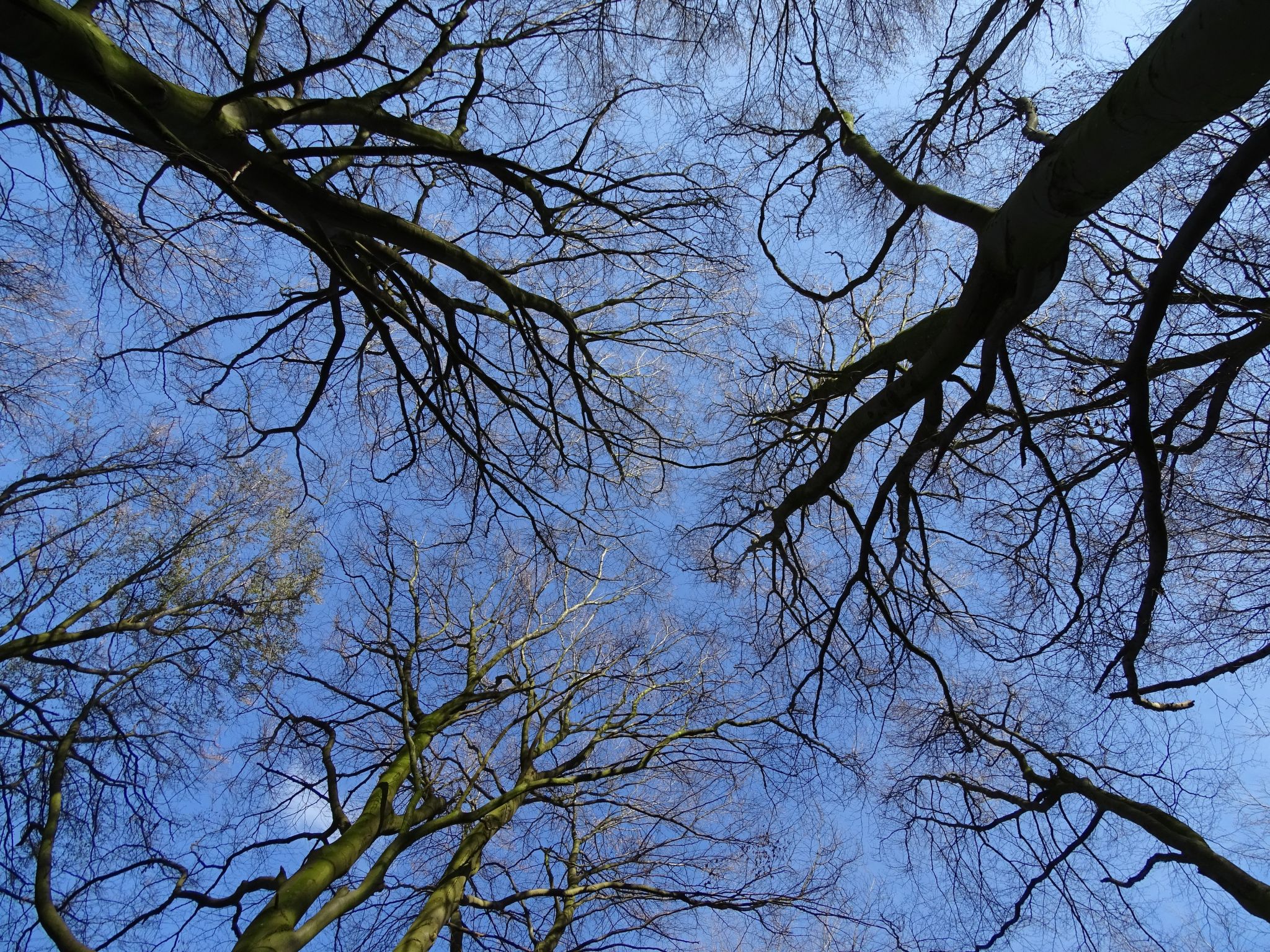 Ferienwohnung-Binnen