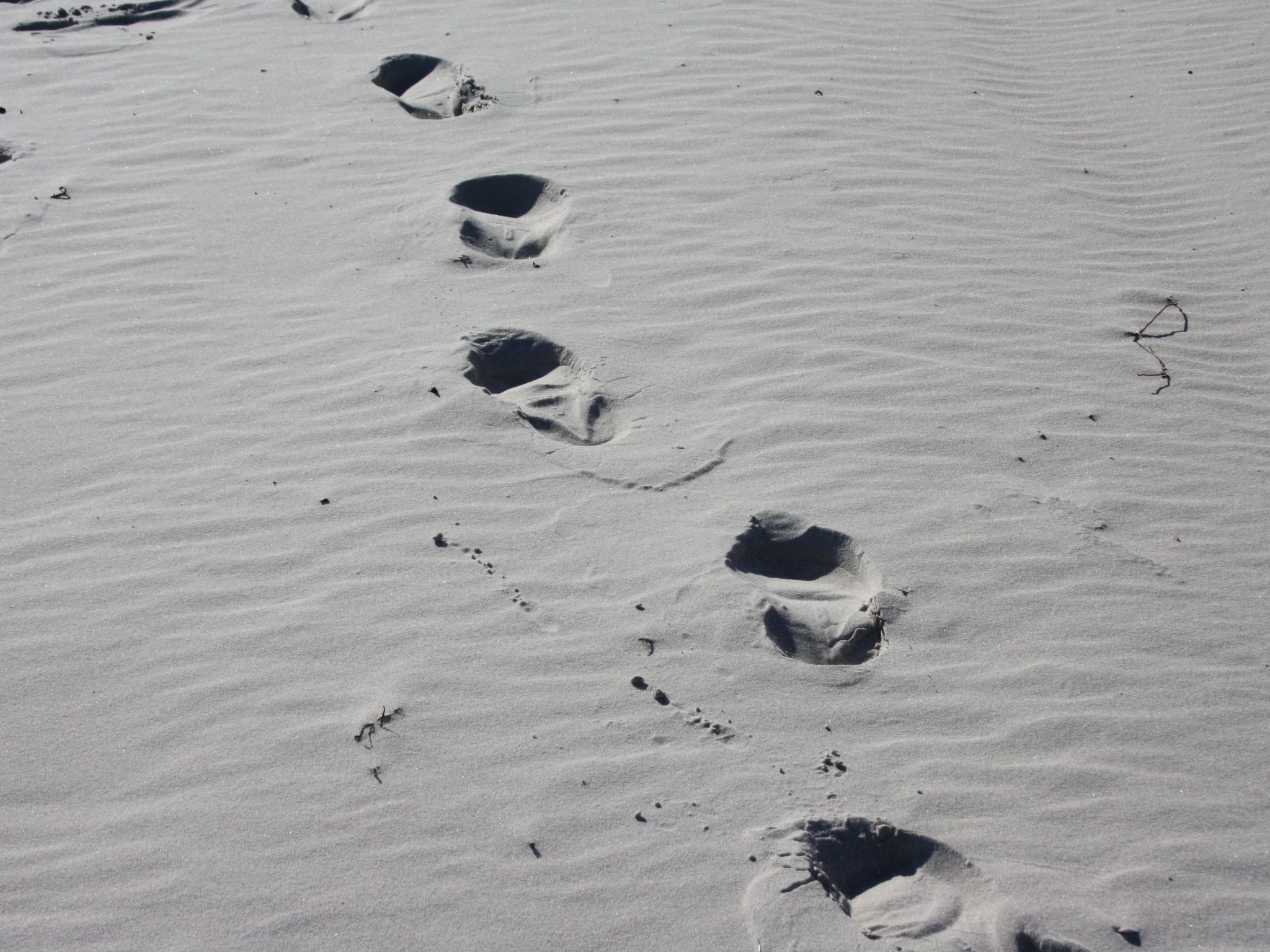 Villa Concordia-Binnen