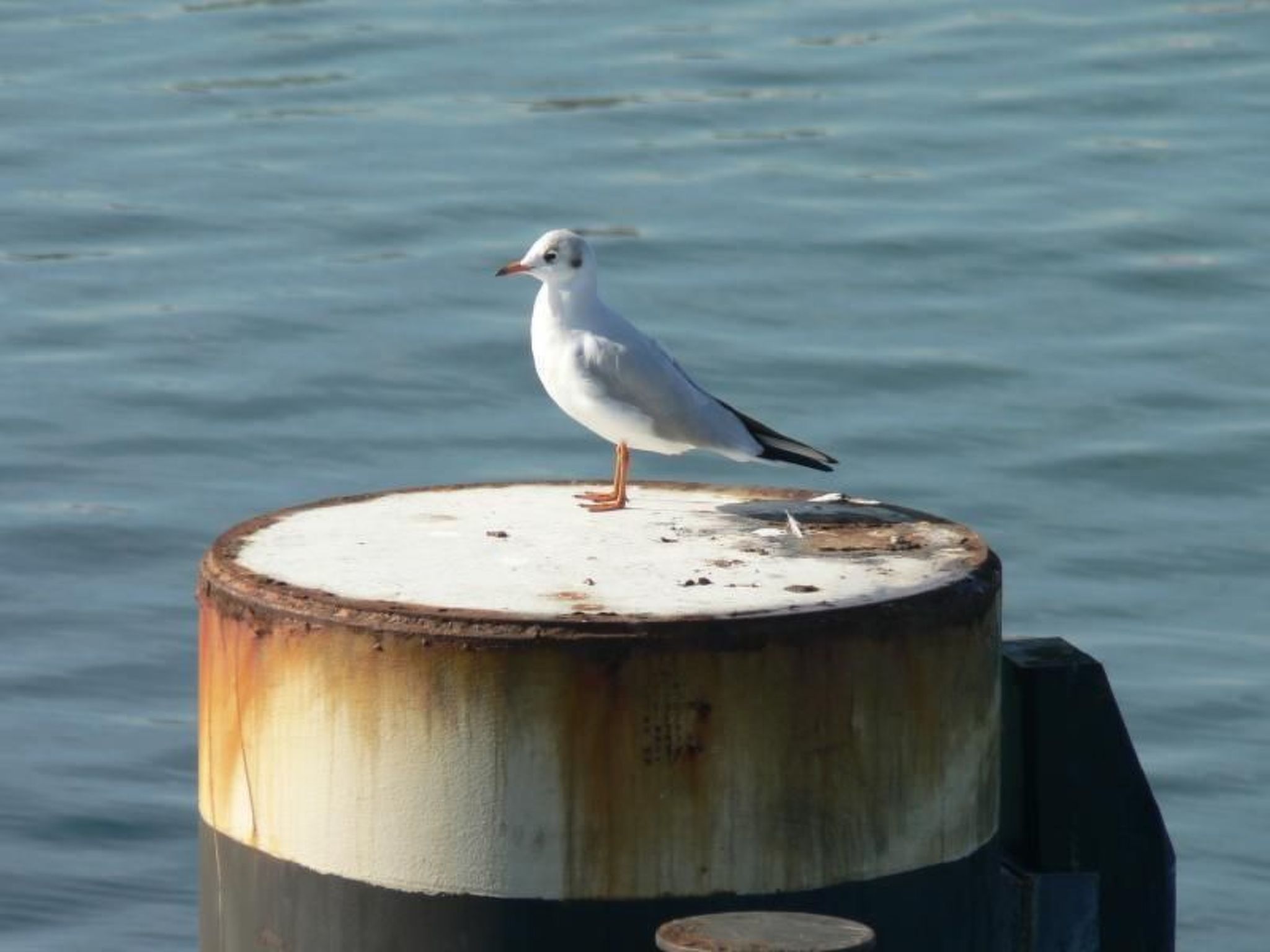 Villa Mönchgut Binz-Binnen