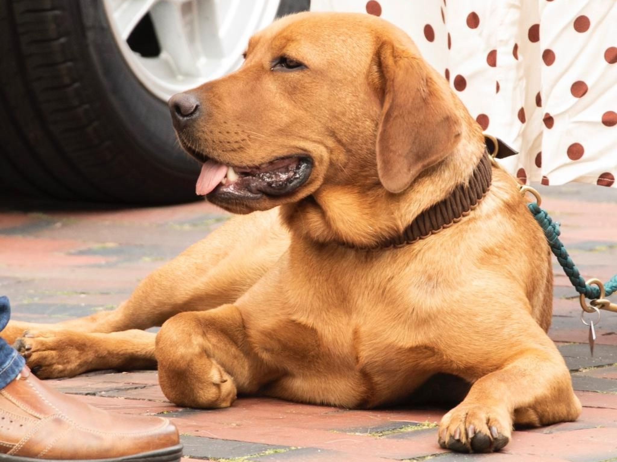 Villa Mönchgut Binz-Binnen