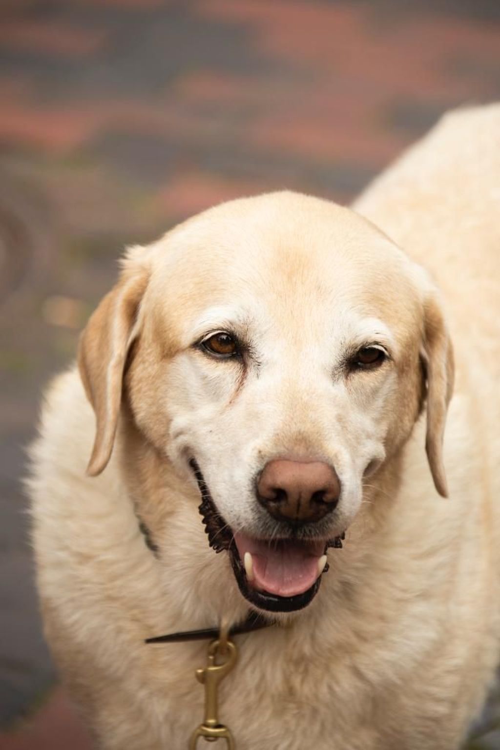 Villa Mönchgut Binz-Binnen