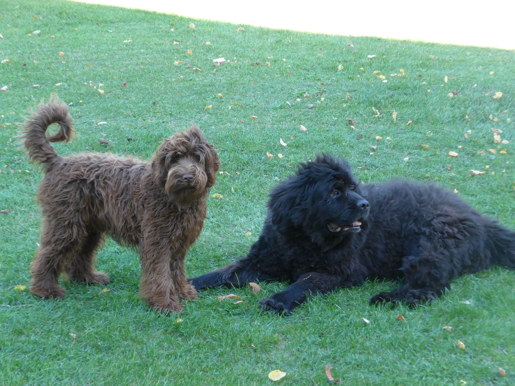 Hist. Schafscheune-Dedans