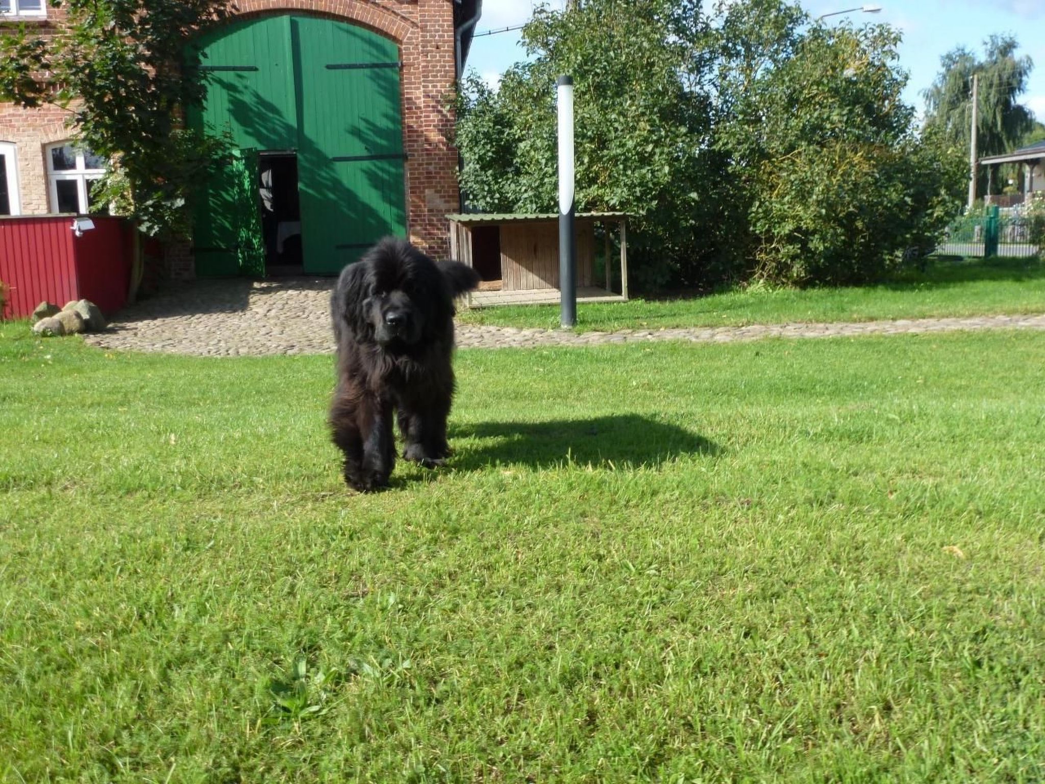 Hist. Schafscheune-Dedans