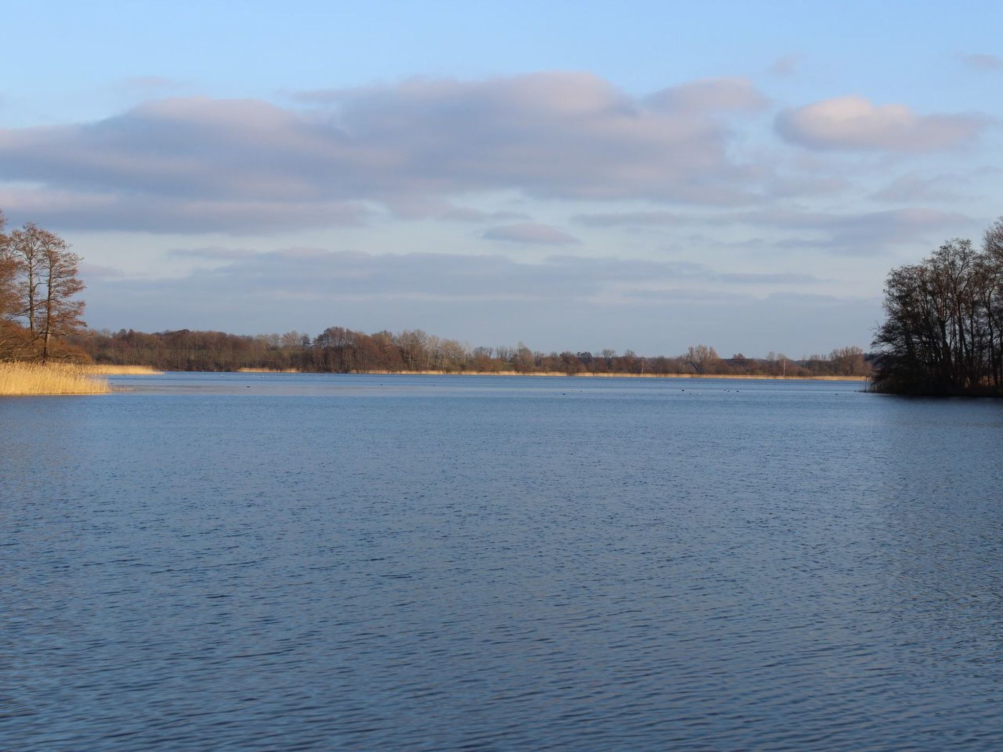 Residenz KrakowerSee-Dedans