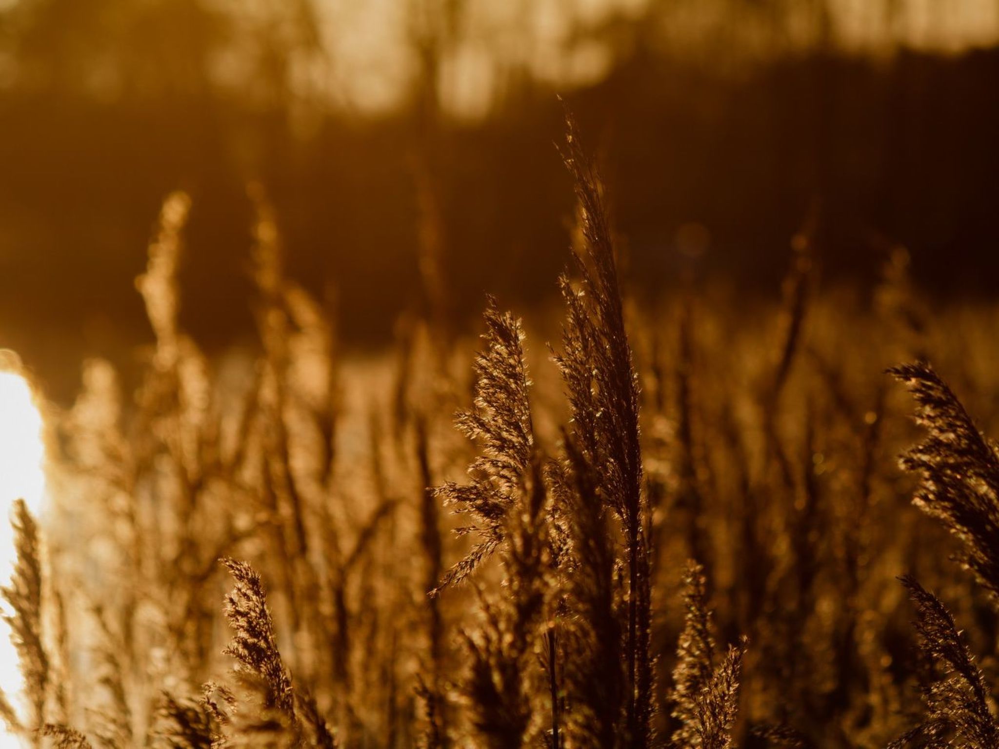 Residenz KrakowerSee-Dedans
