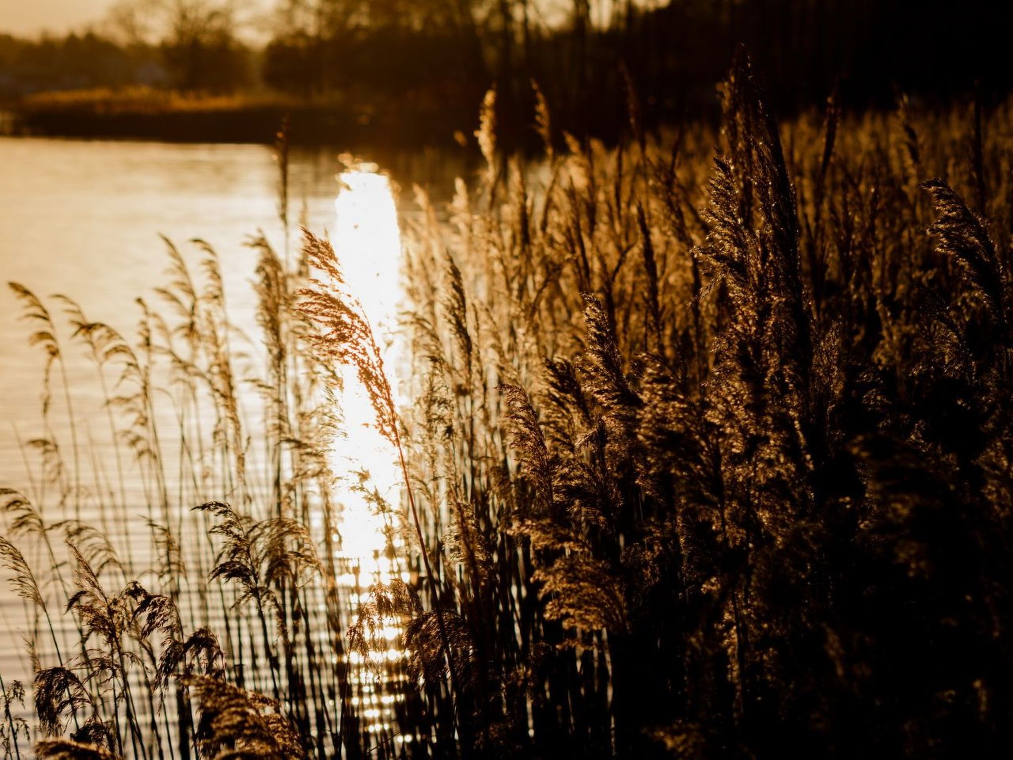 Residenz KrakowerSee-Dedans