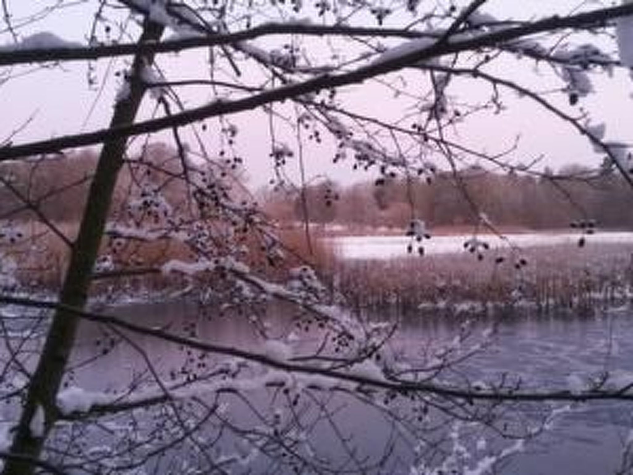 Reiterstübchen-Dedans