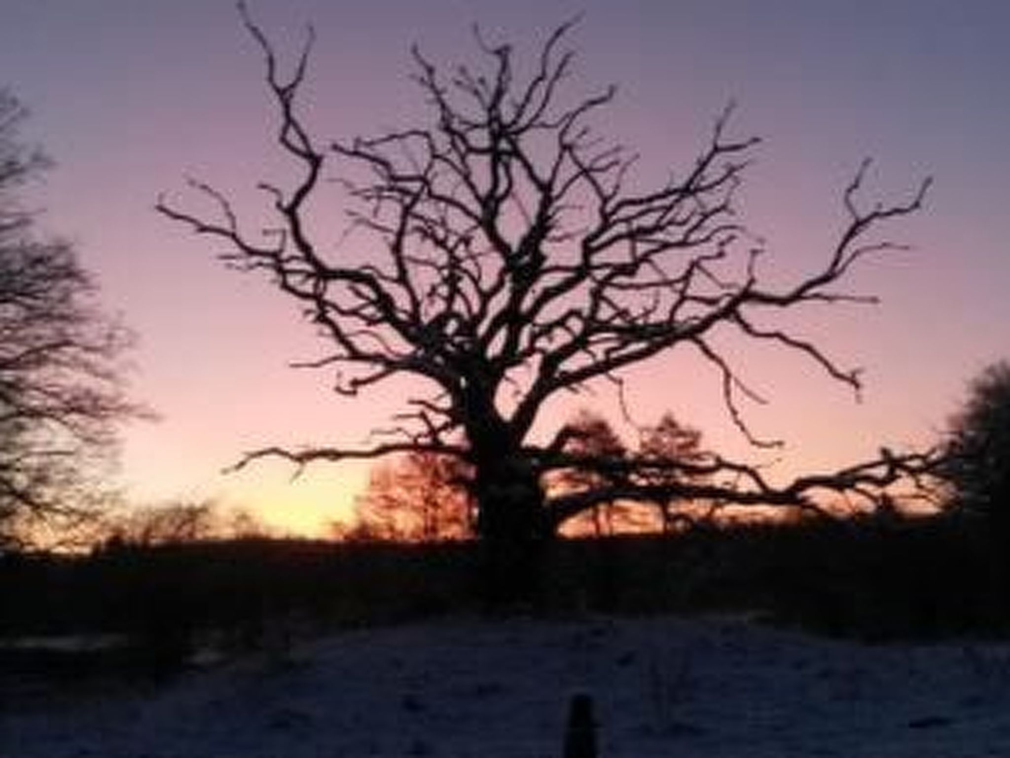 Reiterstübchen-Dedans