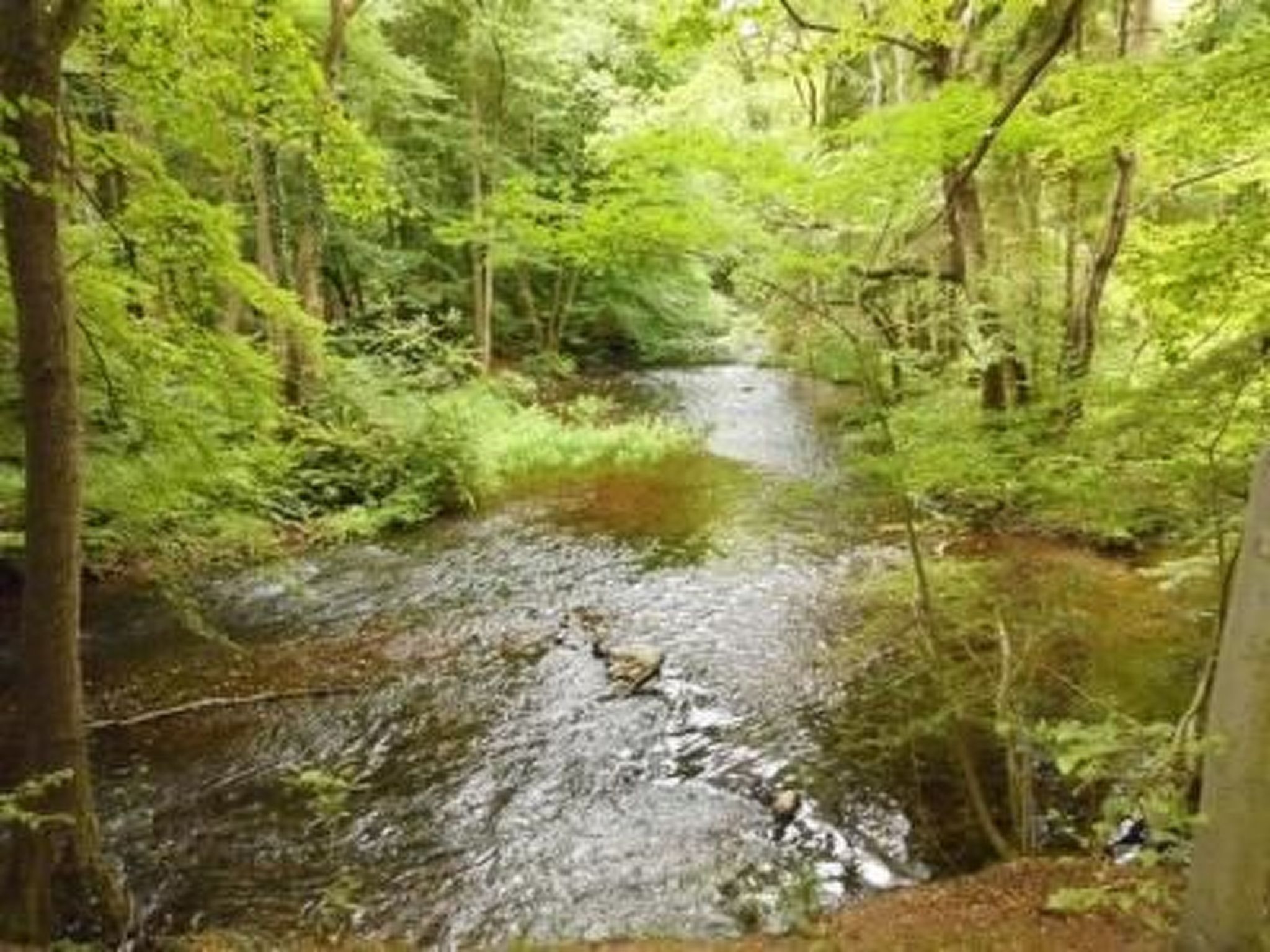 Reiterstübchen-Dedans