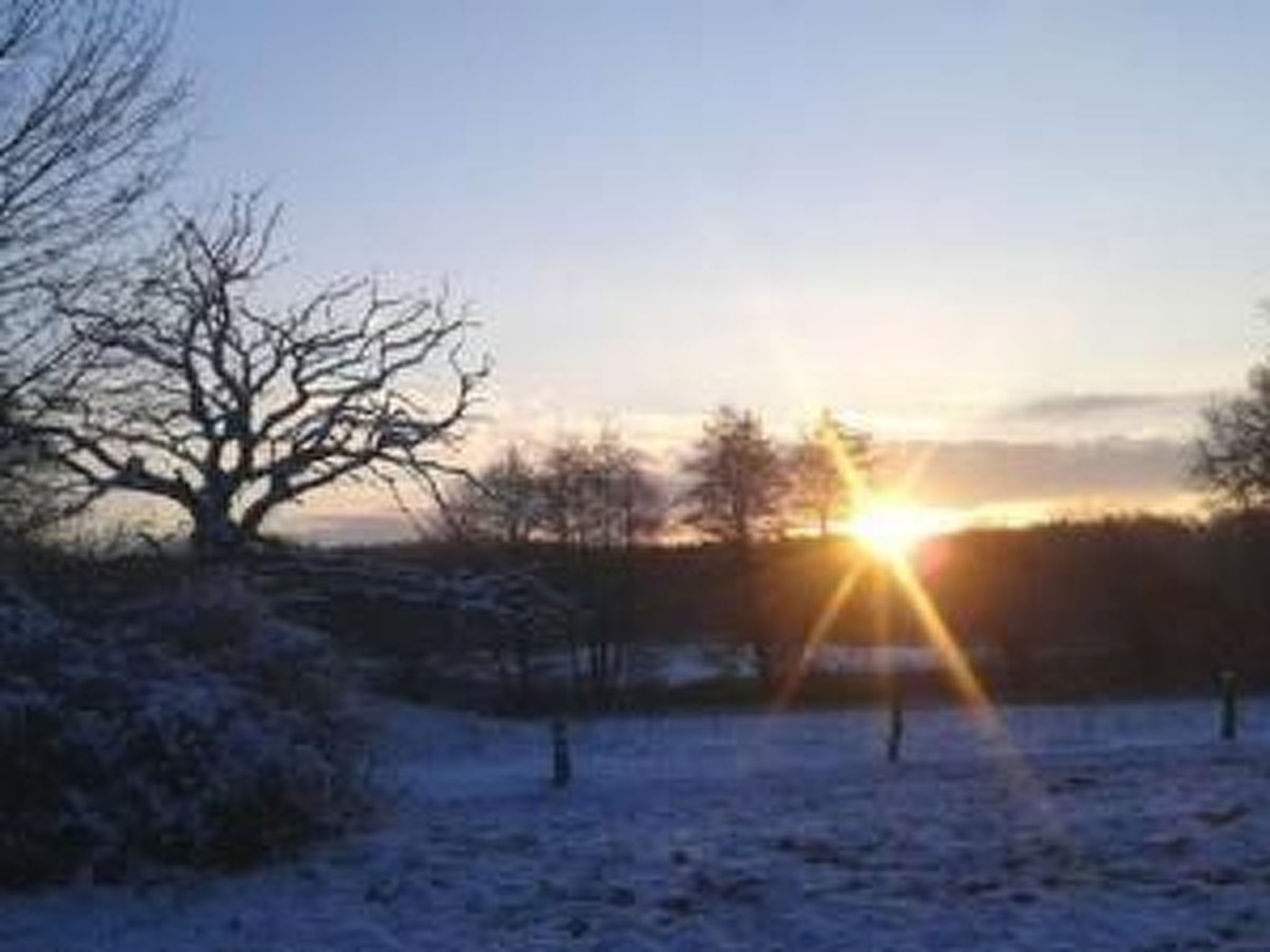 Reiterstübchen-Dedans