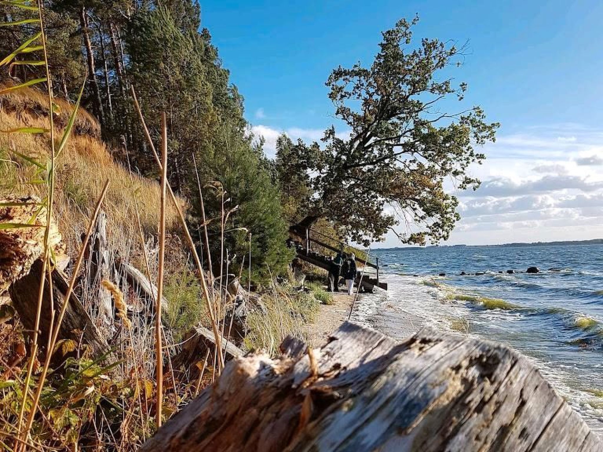 2 Personen  Hund willkommen-Image-tags.info