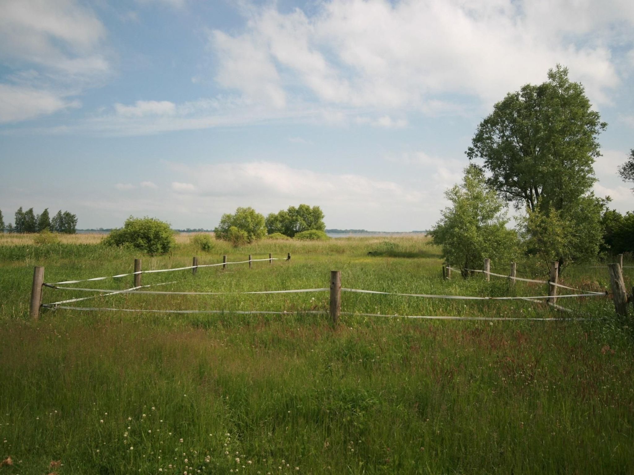 Schwalbennest-Image-tags.info