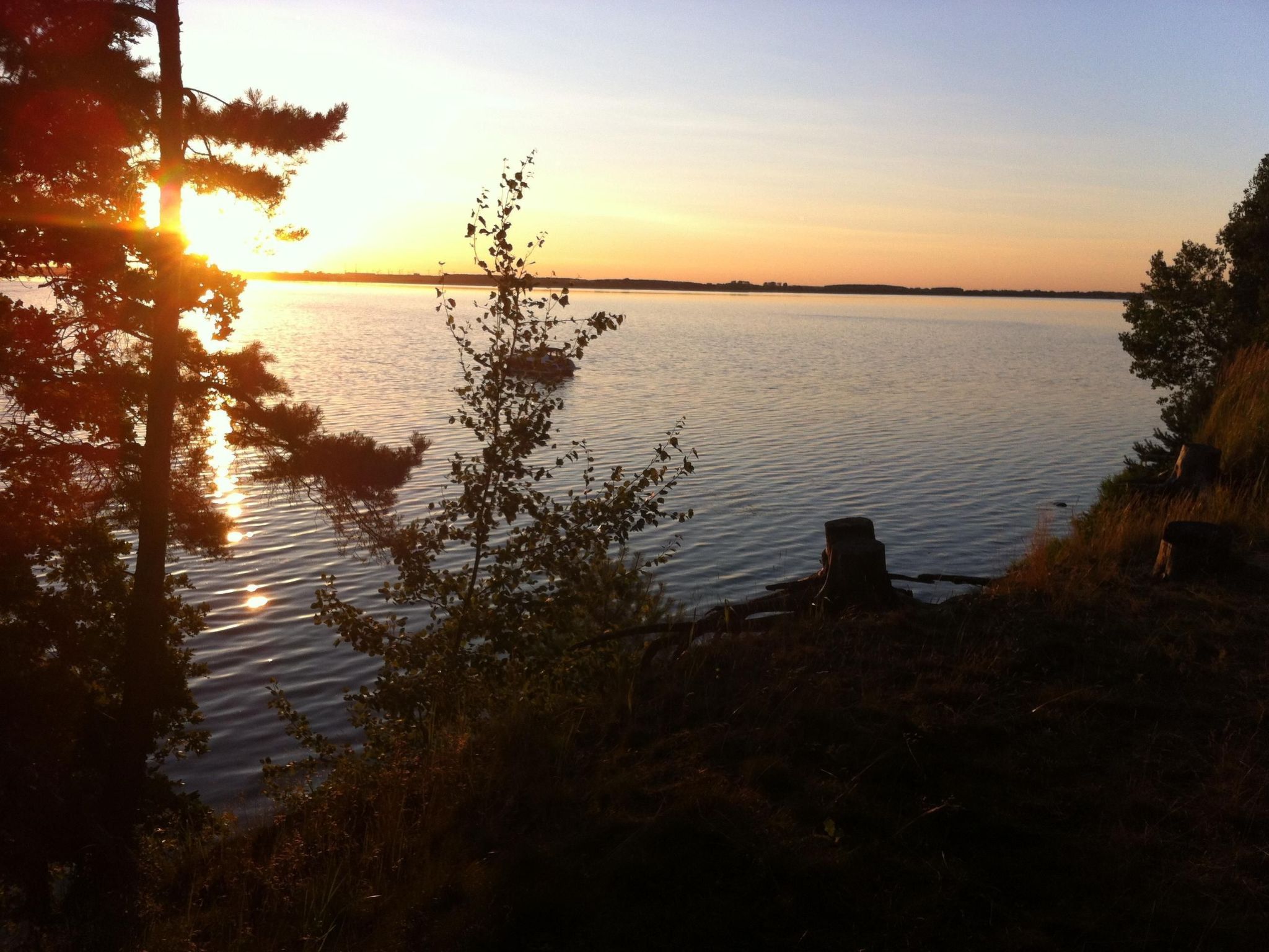 Schwalbennest-Image-tags.info