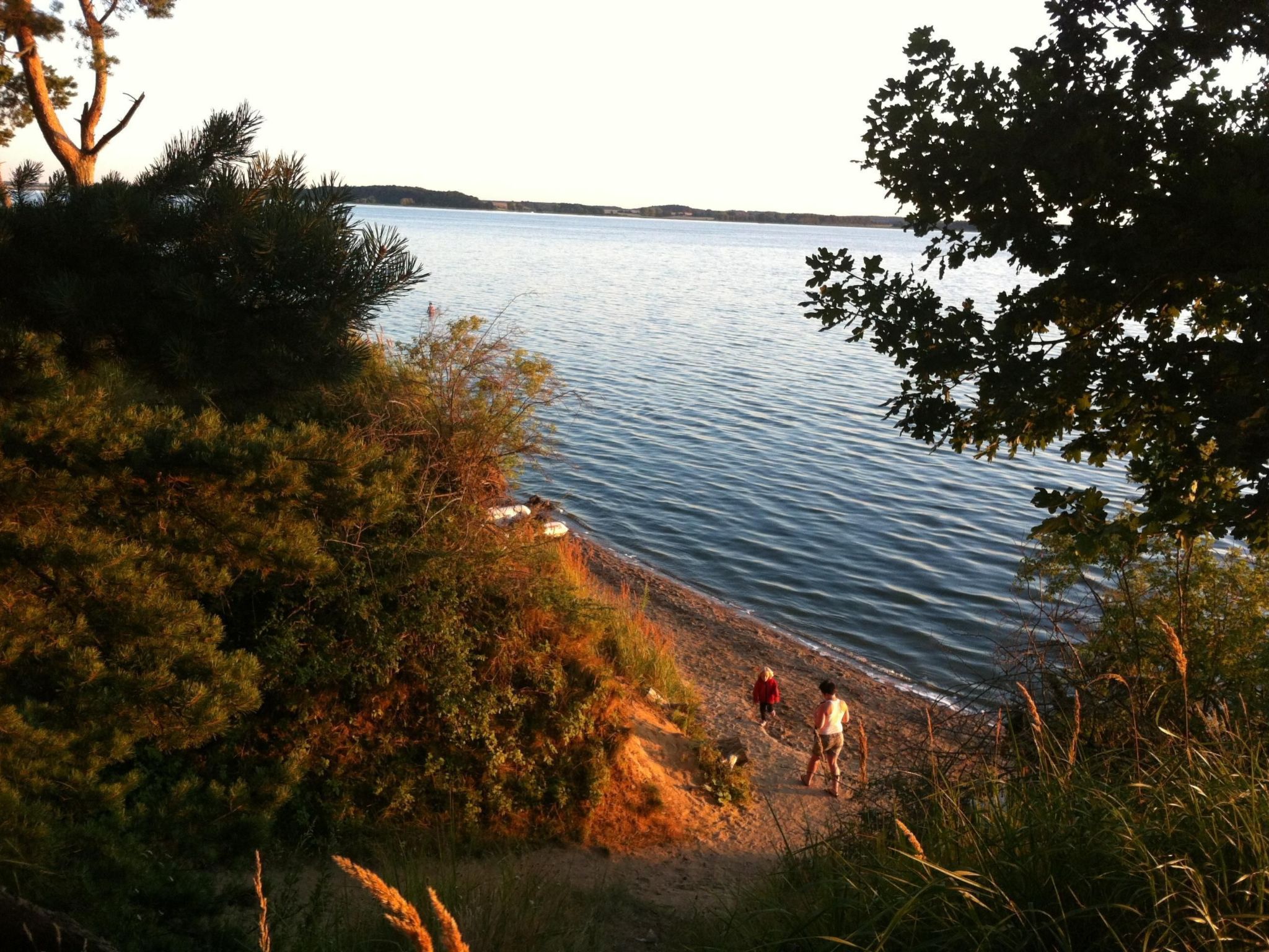 Schwalbennest-Image-tags.info