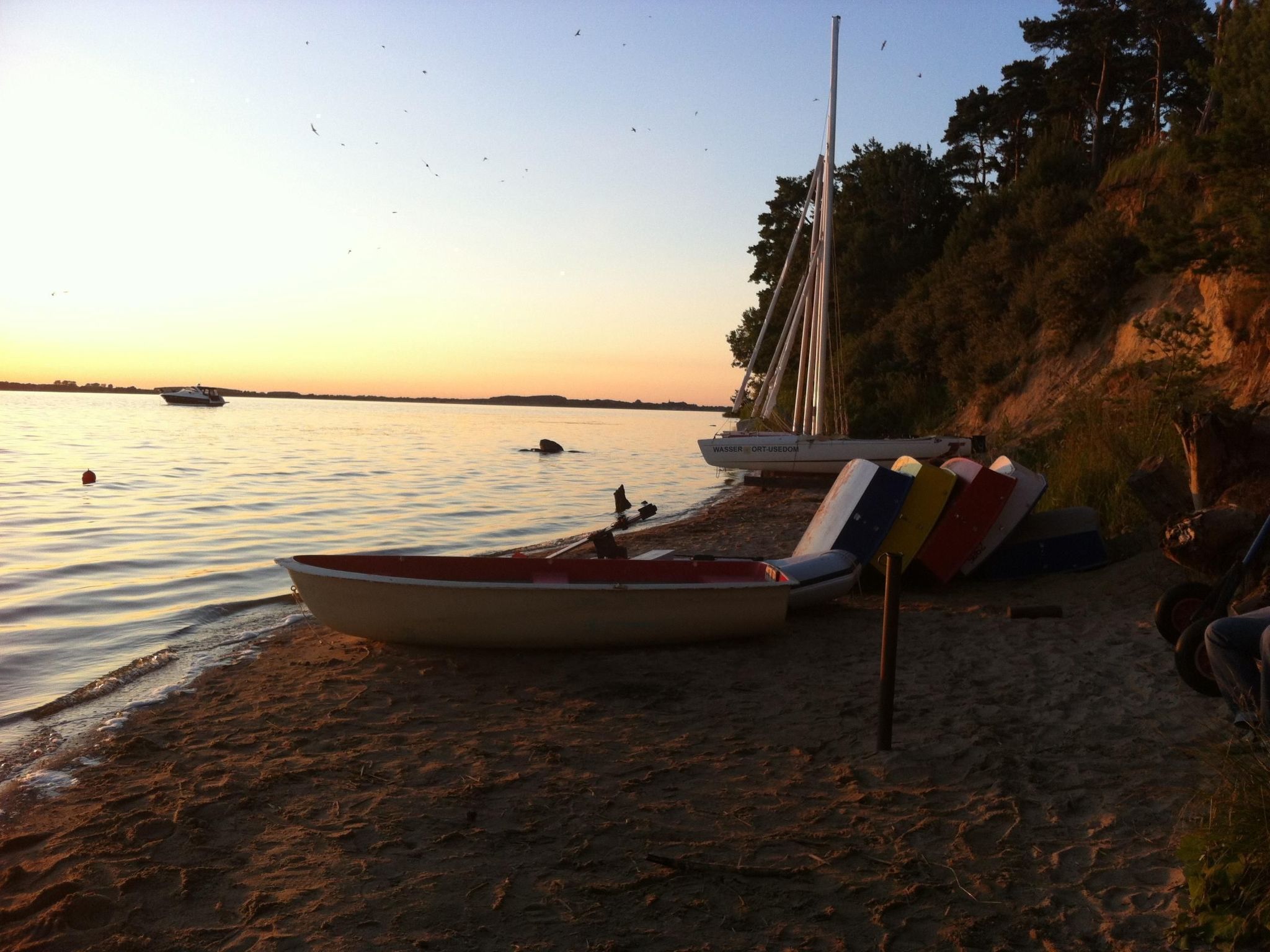 Schwalbennest-Image-tags.info