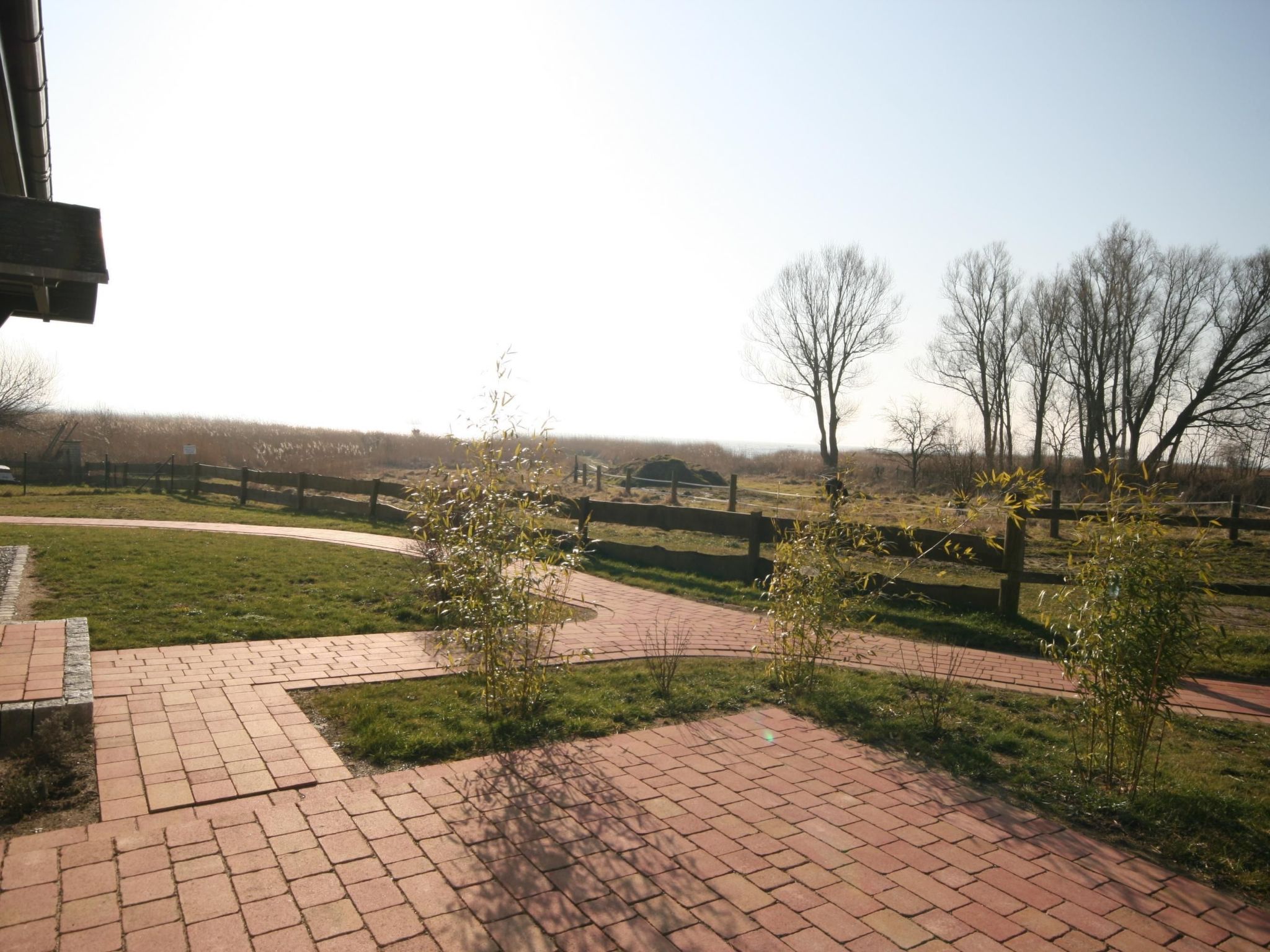 Seeadler für 2 mit Blick aufs Wasser-Image-tags.info