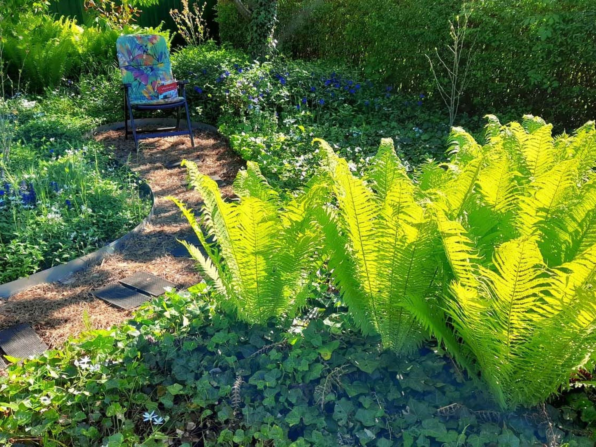 In Storkow mit Schönem Garten-Inside