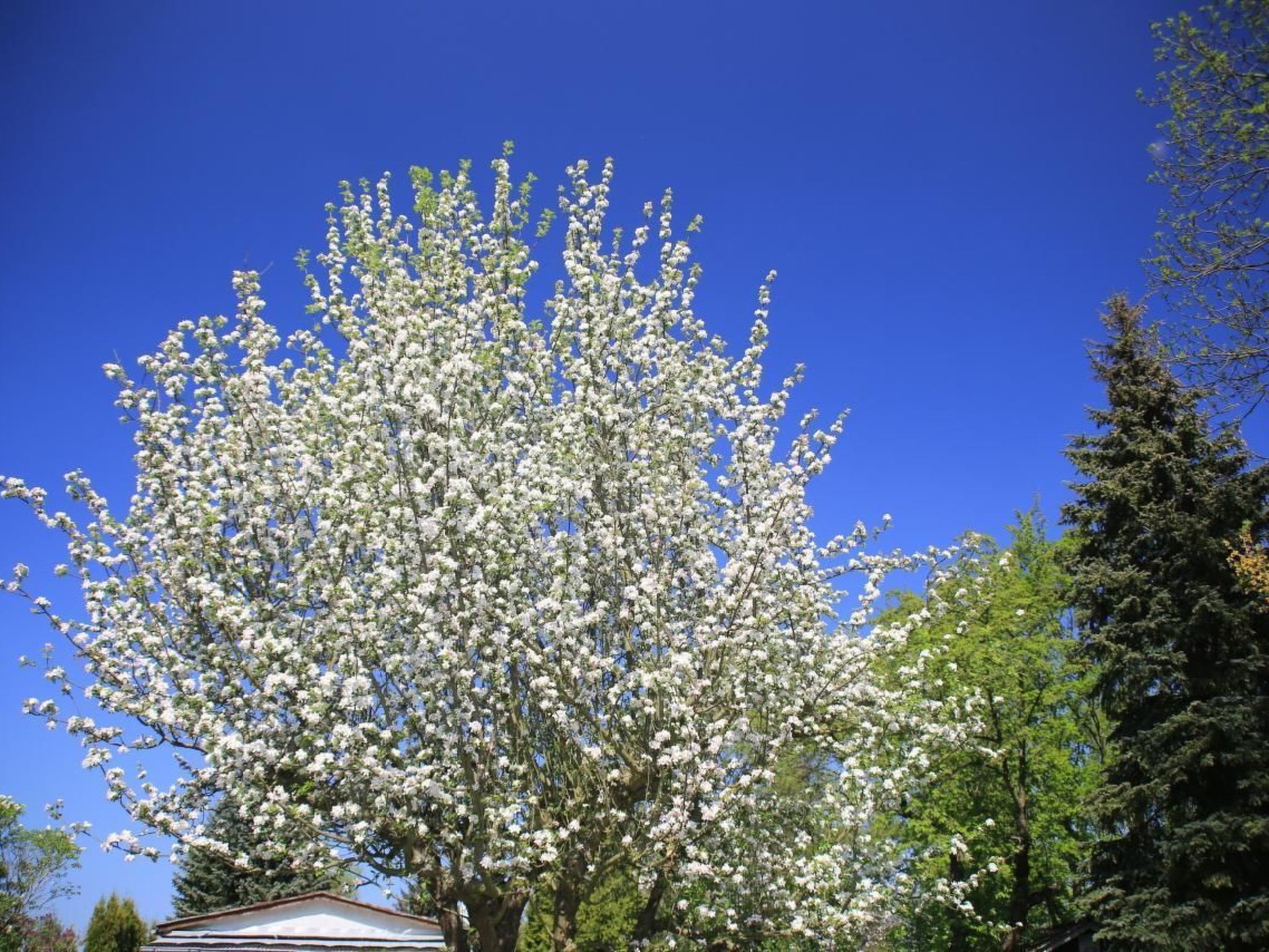In Storkow mit Schönem Garten-Inside