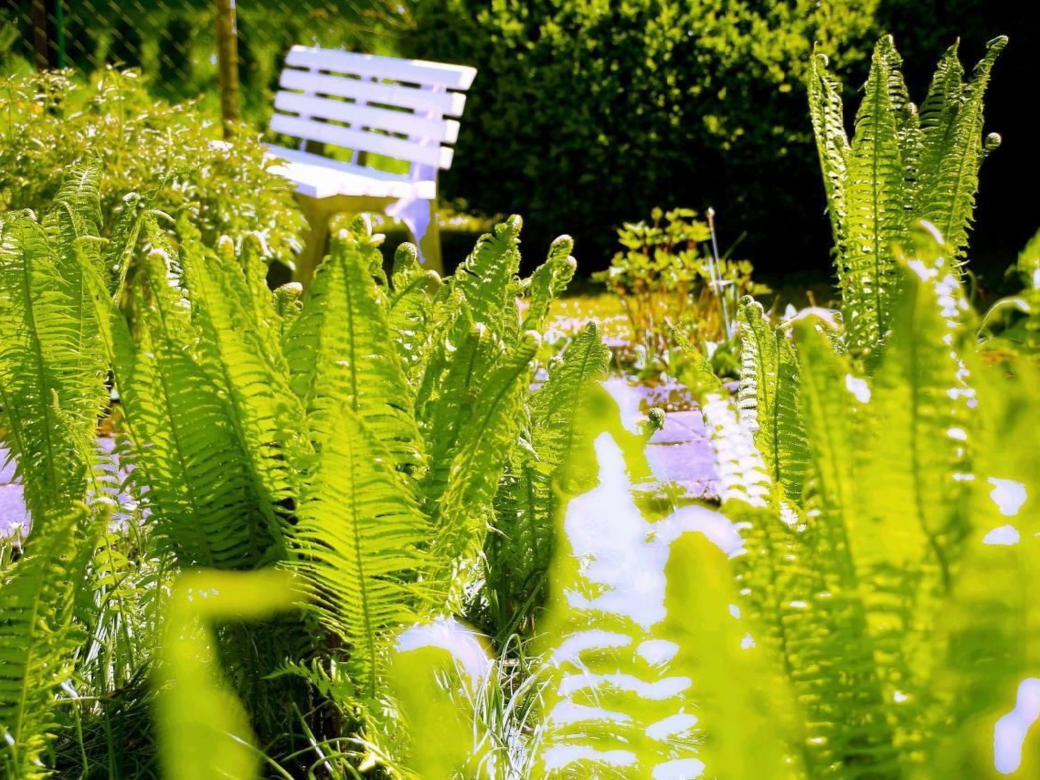 In Storkow mit Schönem Garten-Inside
