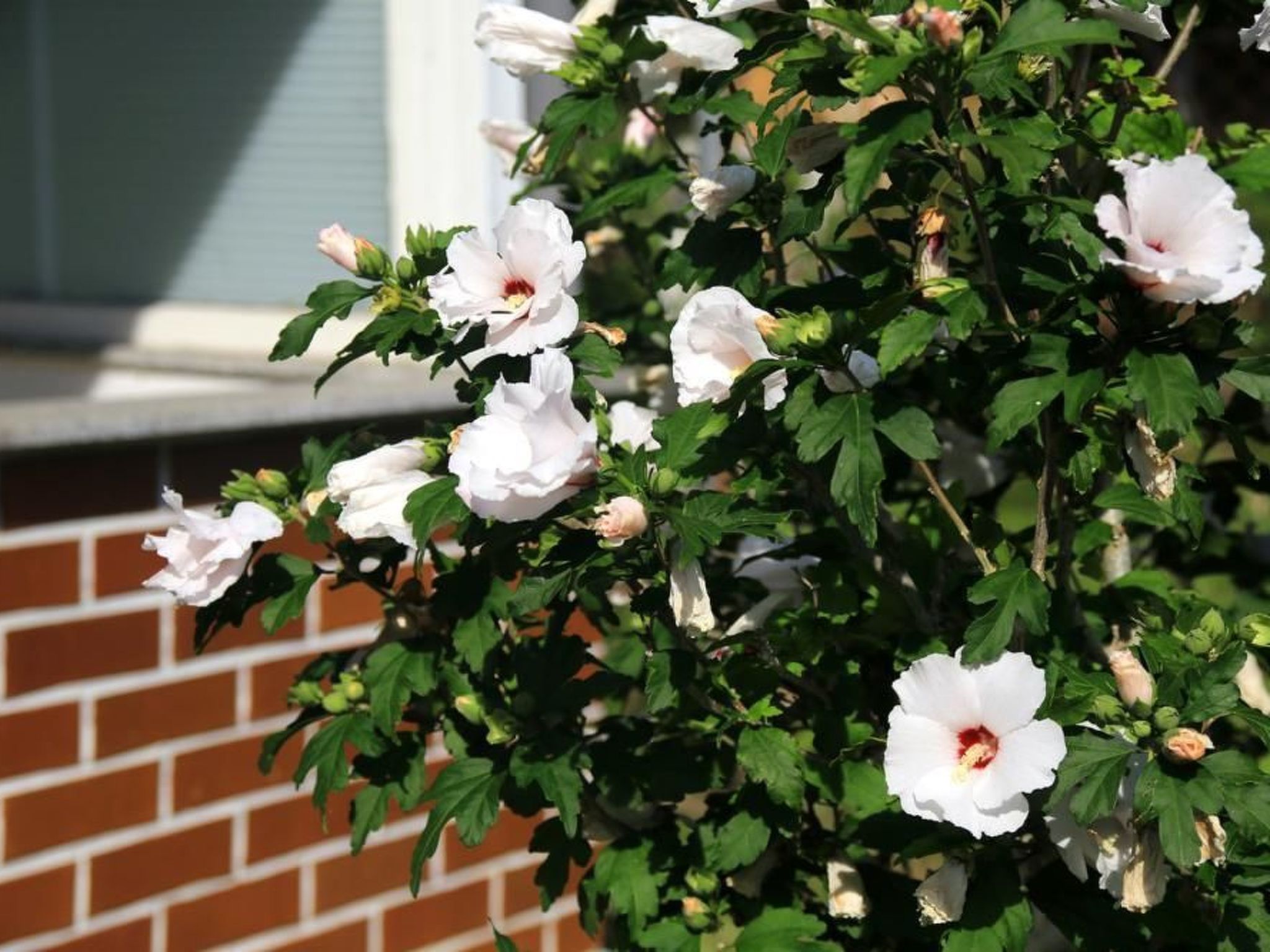 In Storkow mit Schönem Garten-Inside