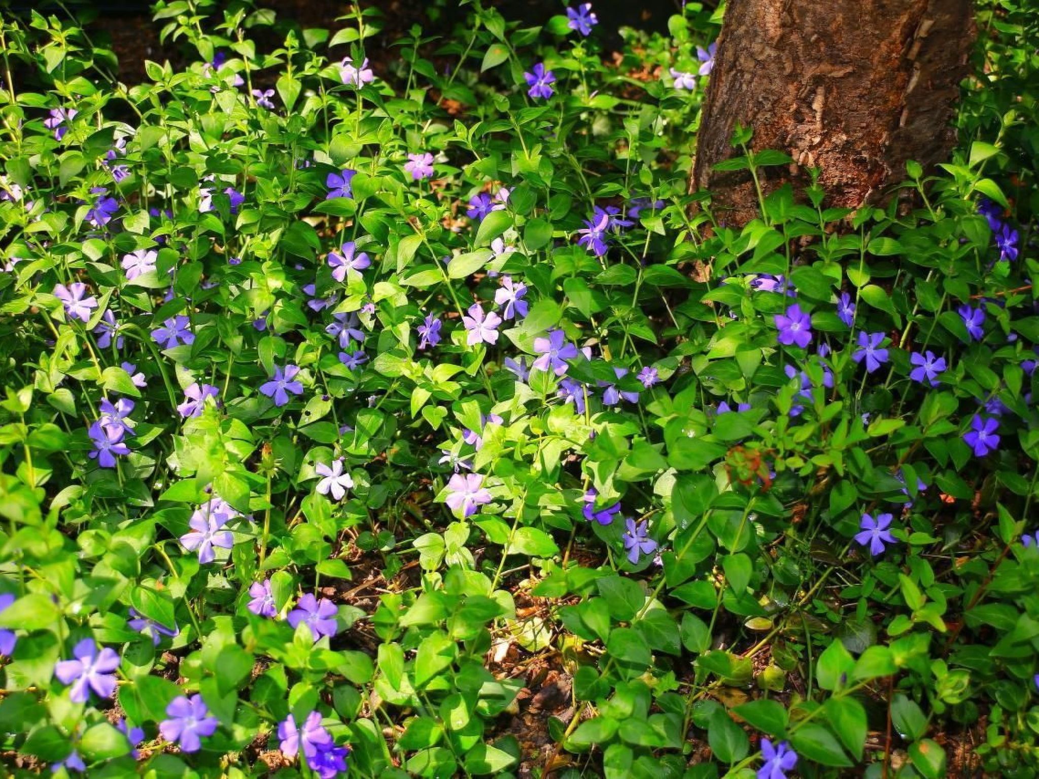 In Storkow mit Schönem Garten-Inside