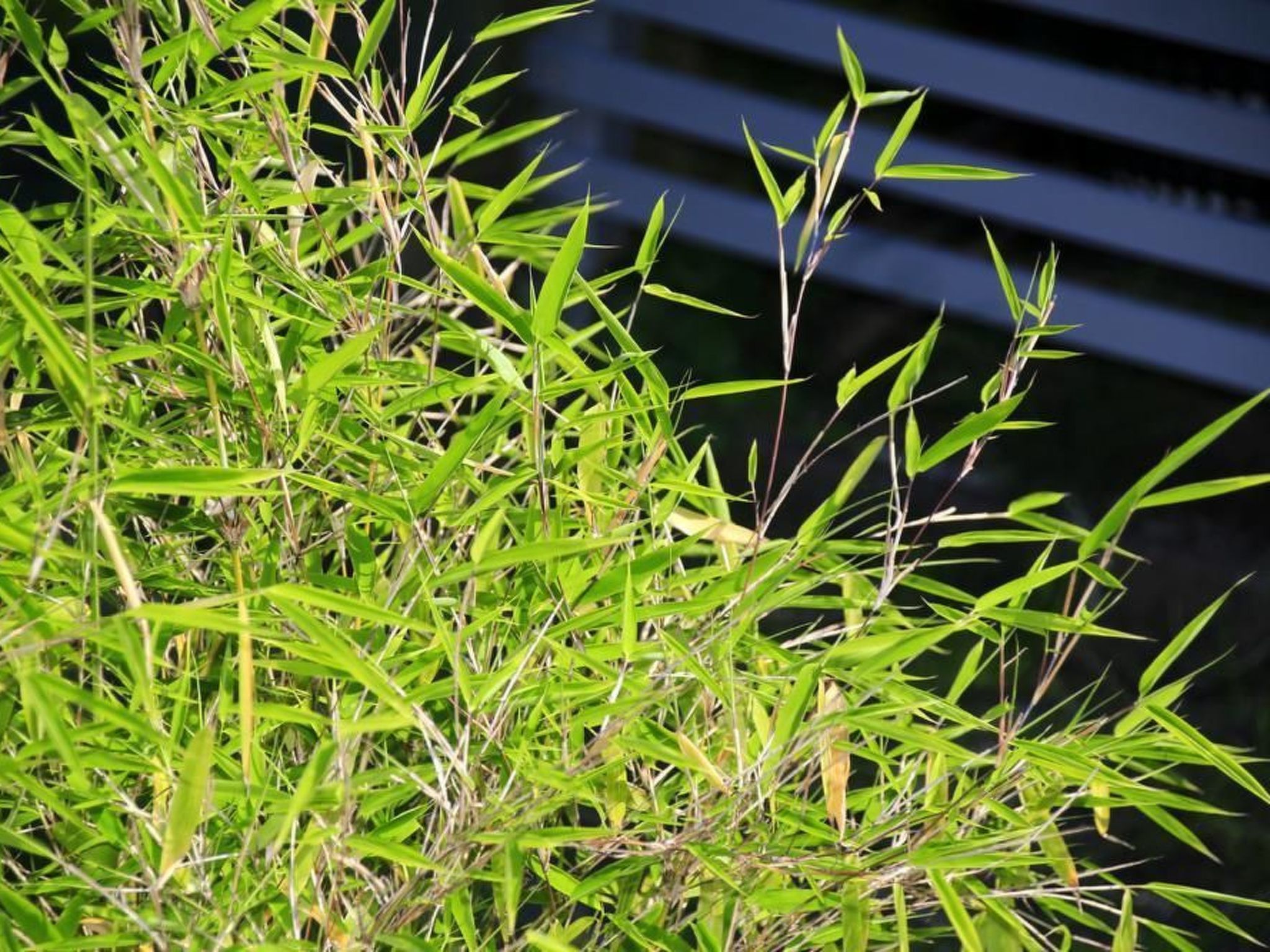 In Storkow mit Schönem Garten-Inside