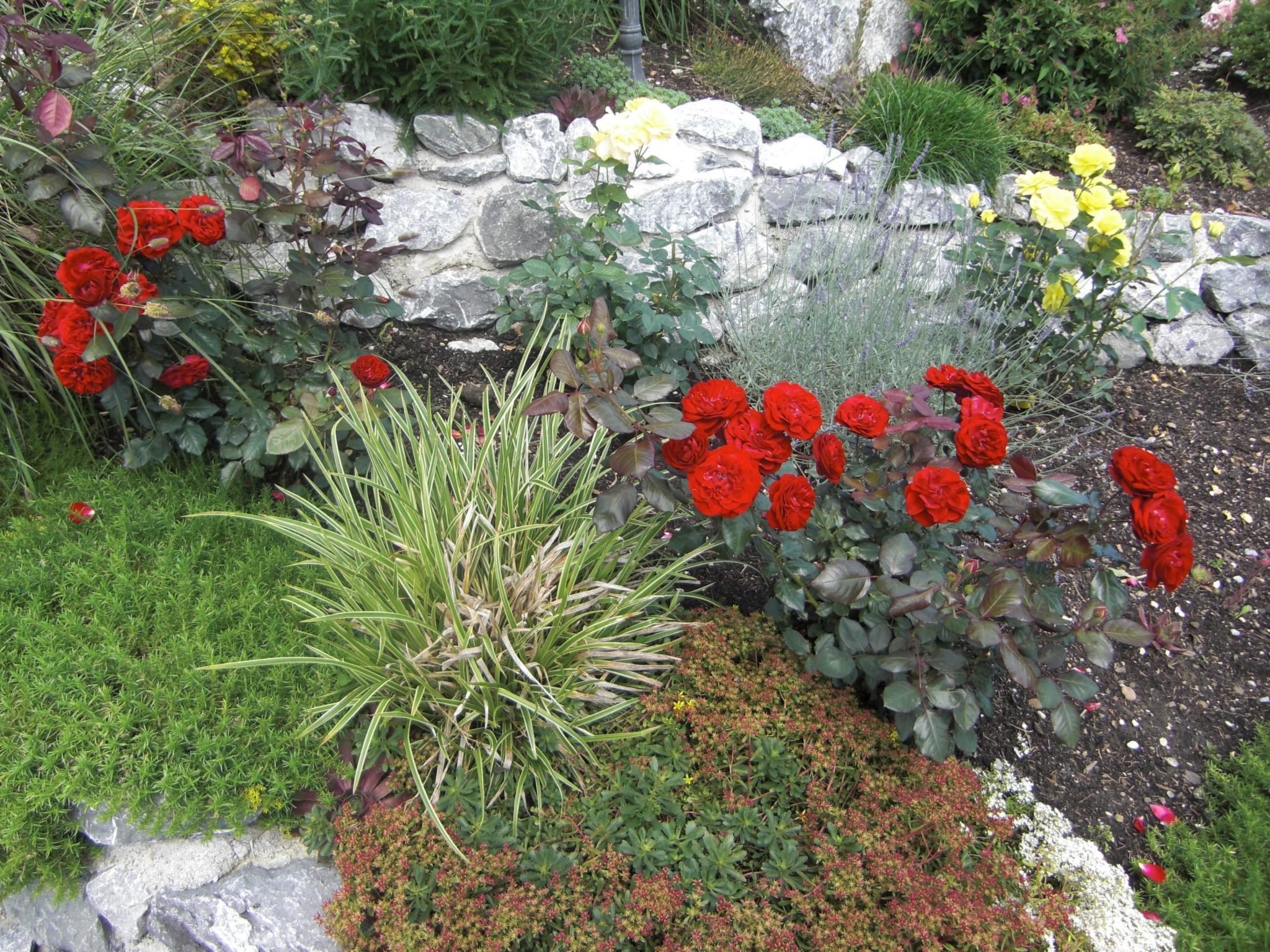 Am Rosengarten-Binnen