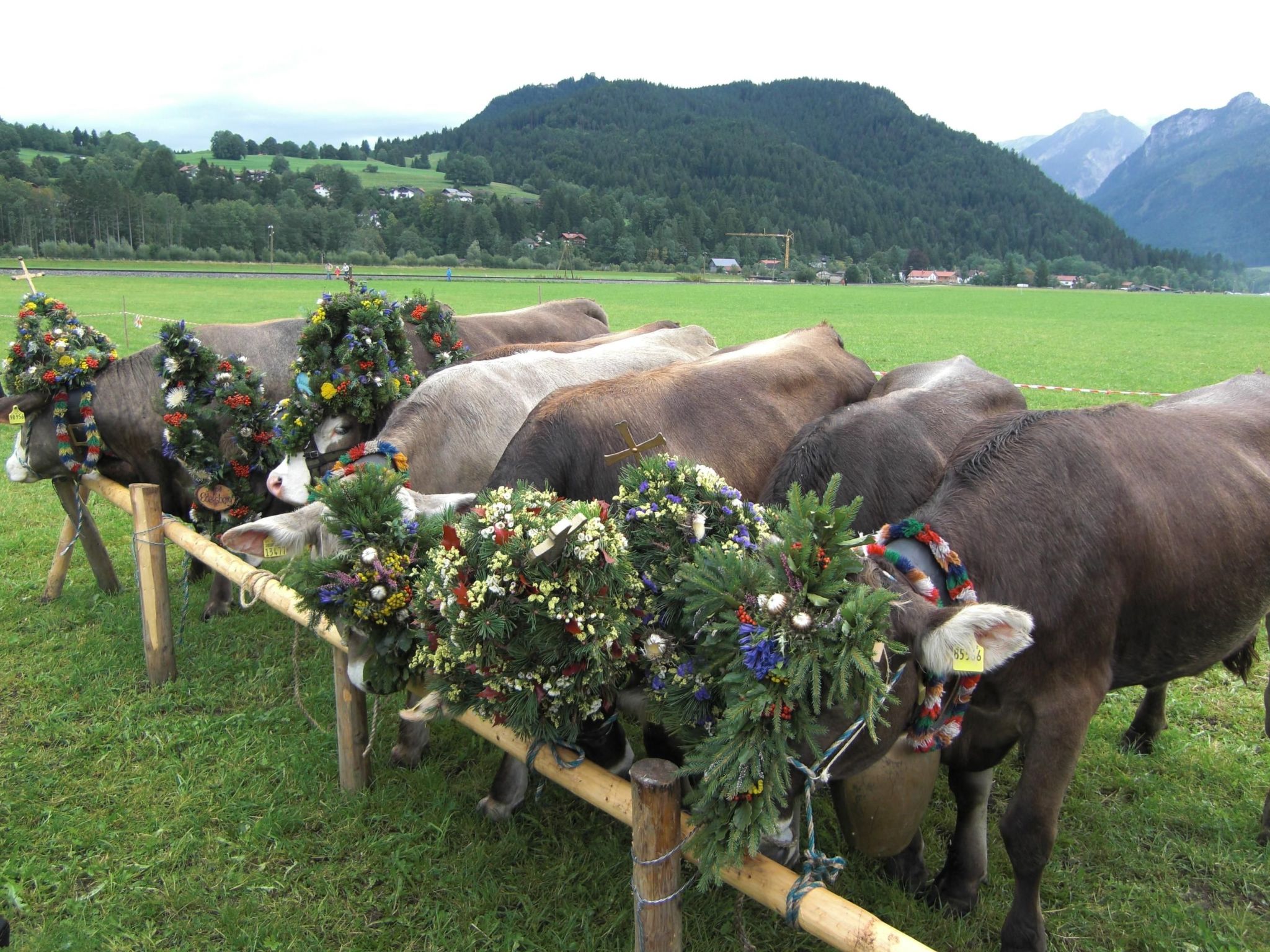 Am Rosengarten-Binnen