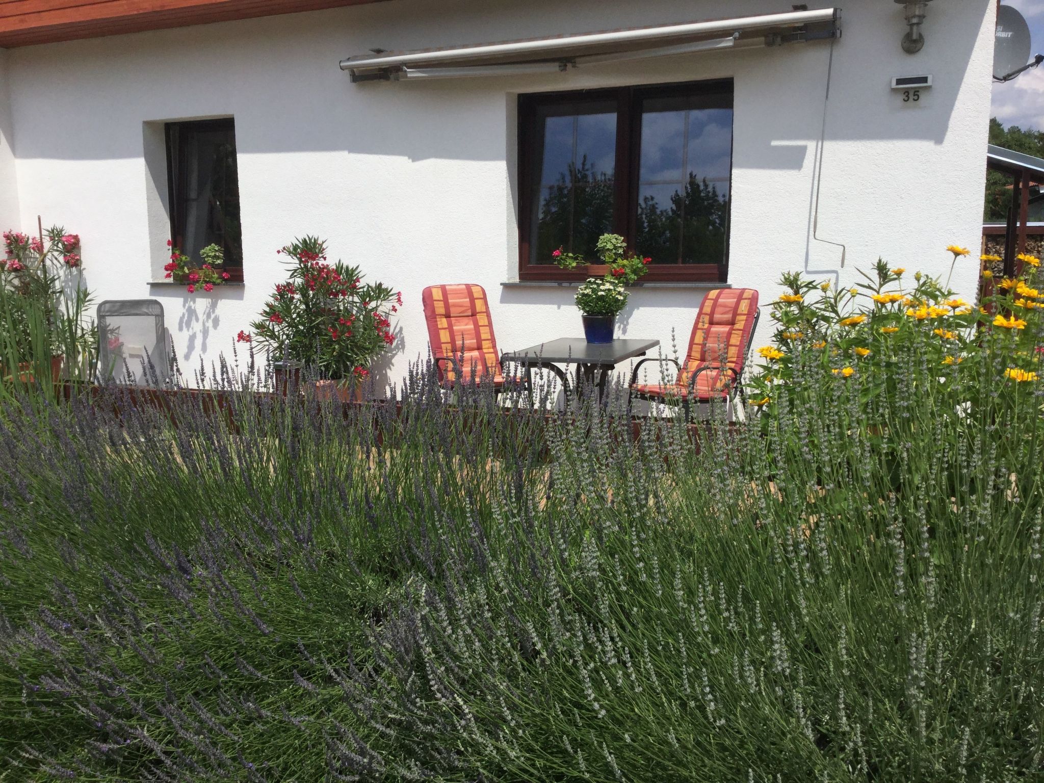 Kleines Ferienhaus in Rangsdorf mit großem Garten-Binnen