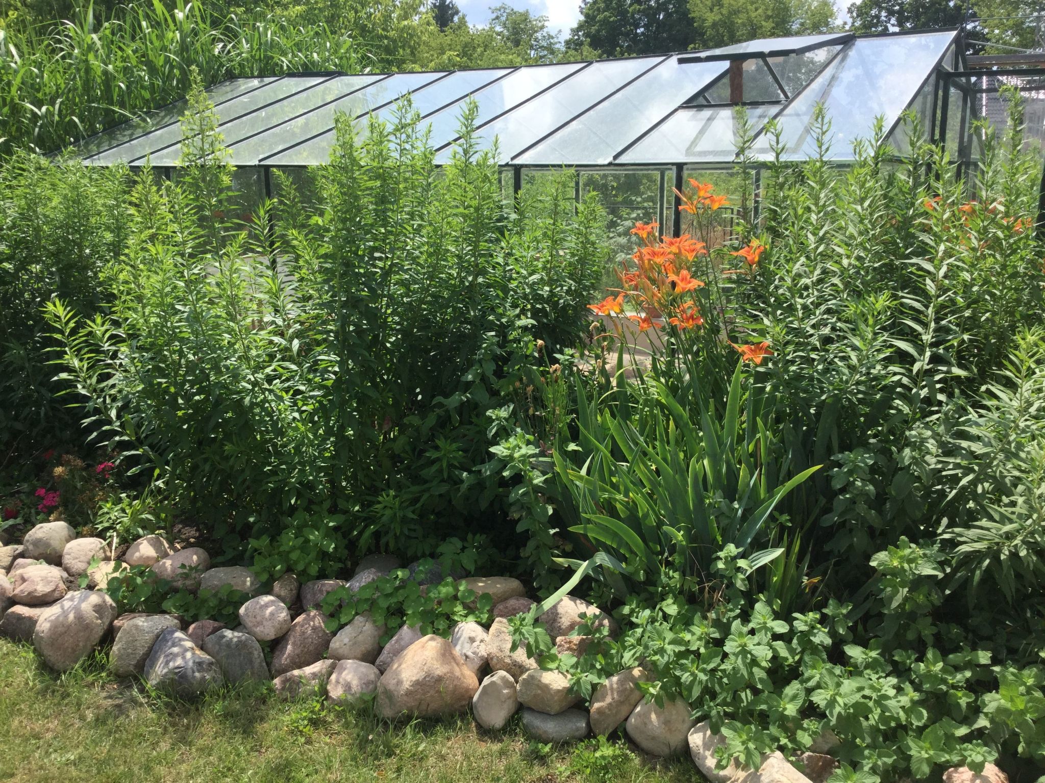 Kleines Ferienhaus in Rangsdorf mit großem Garten-Binnen