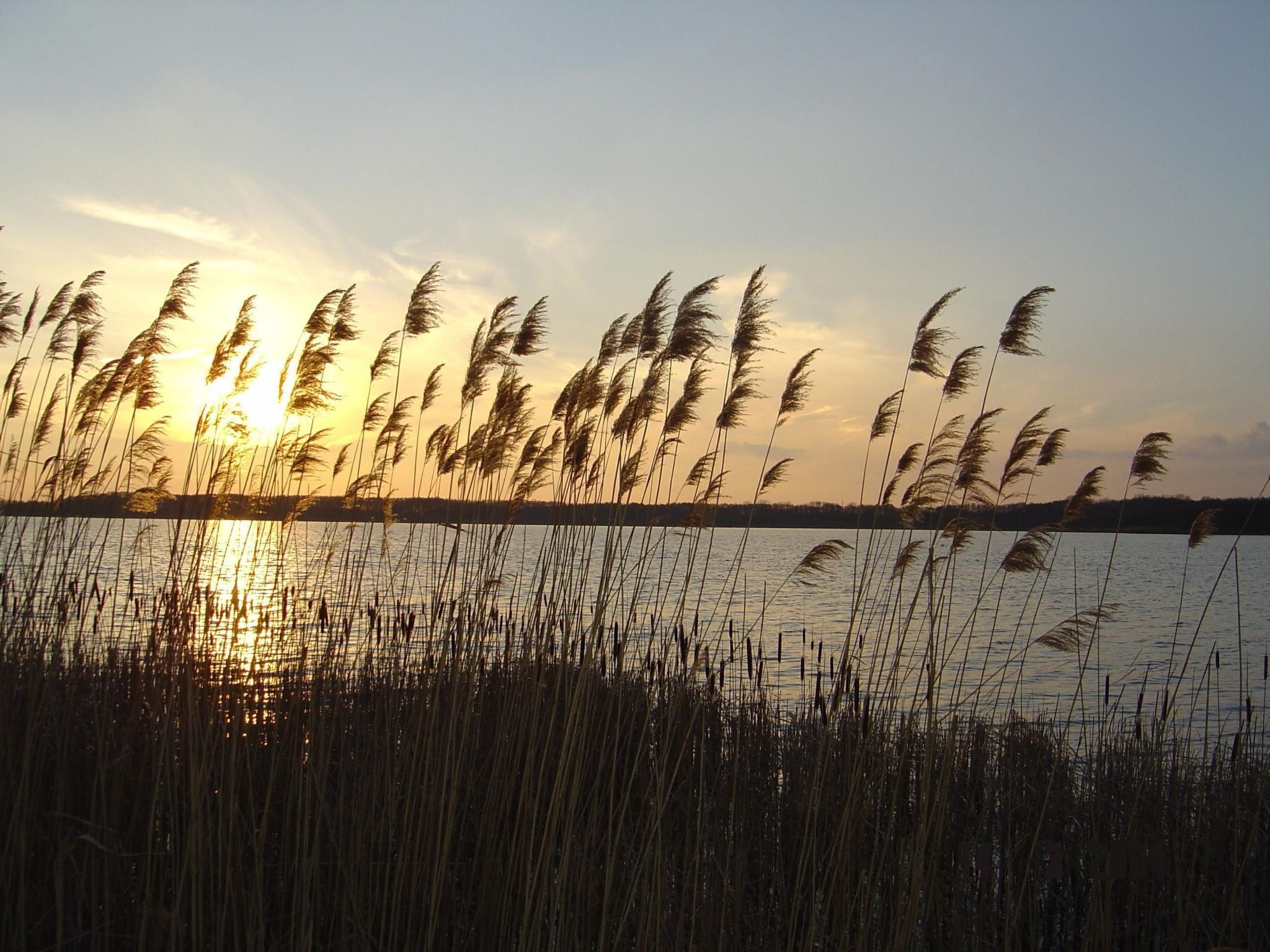 Appartement mit Terrasse - Image-tags.info