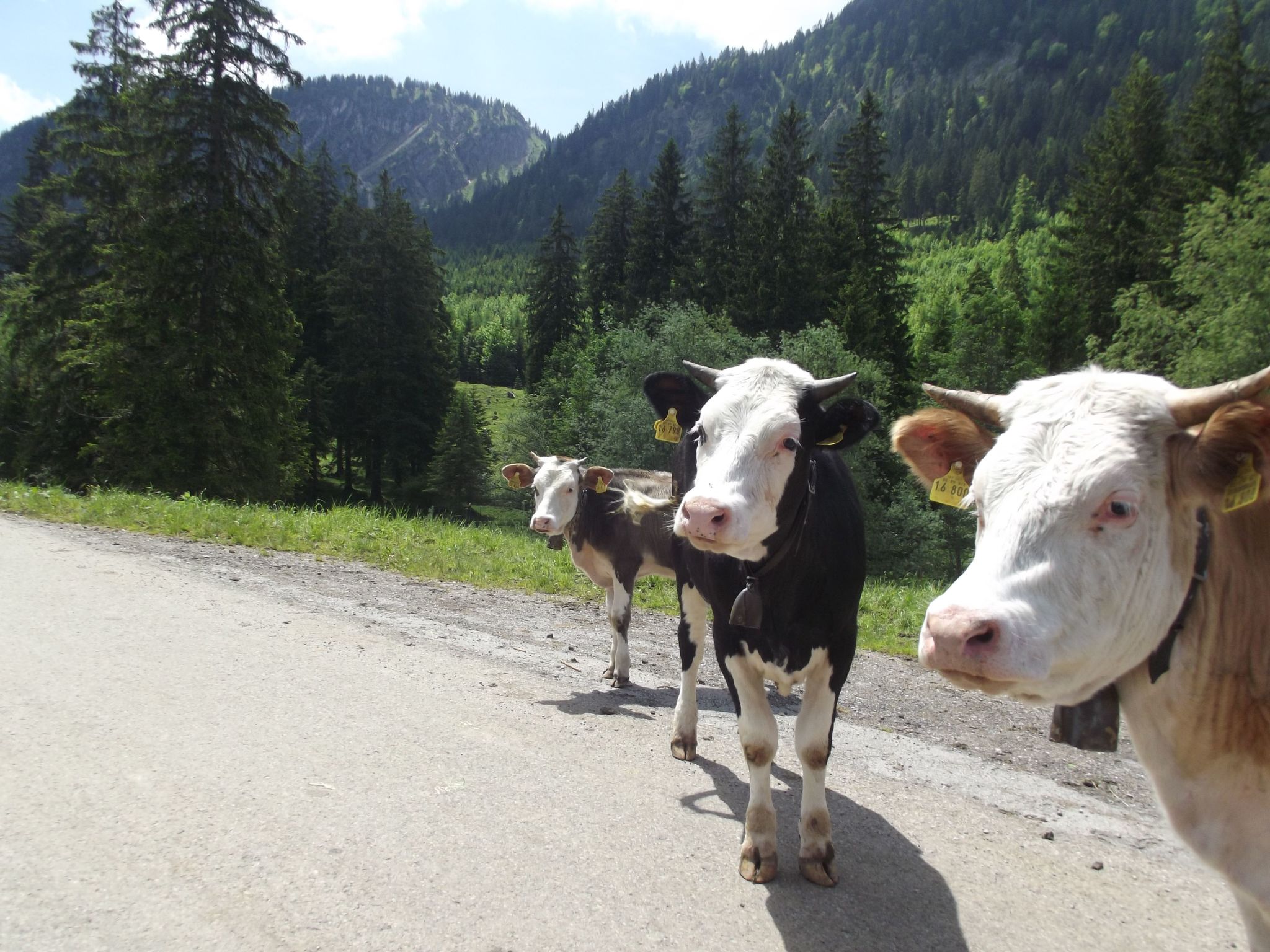 Gemütliche Ferienwohnung in urigem Bauernhaus-Image-tags.info