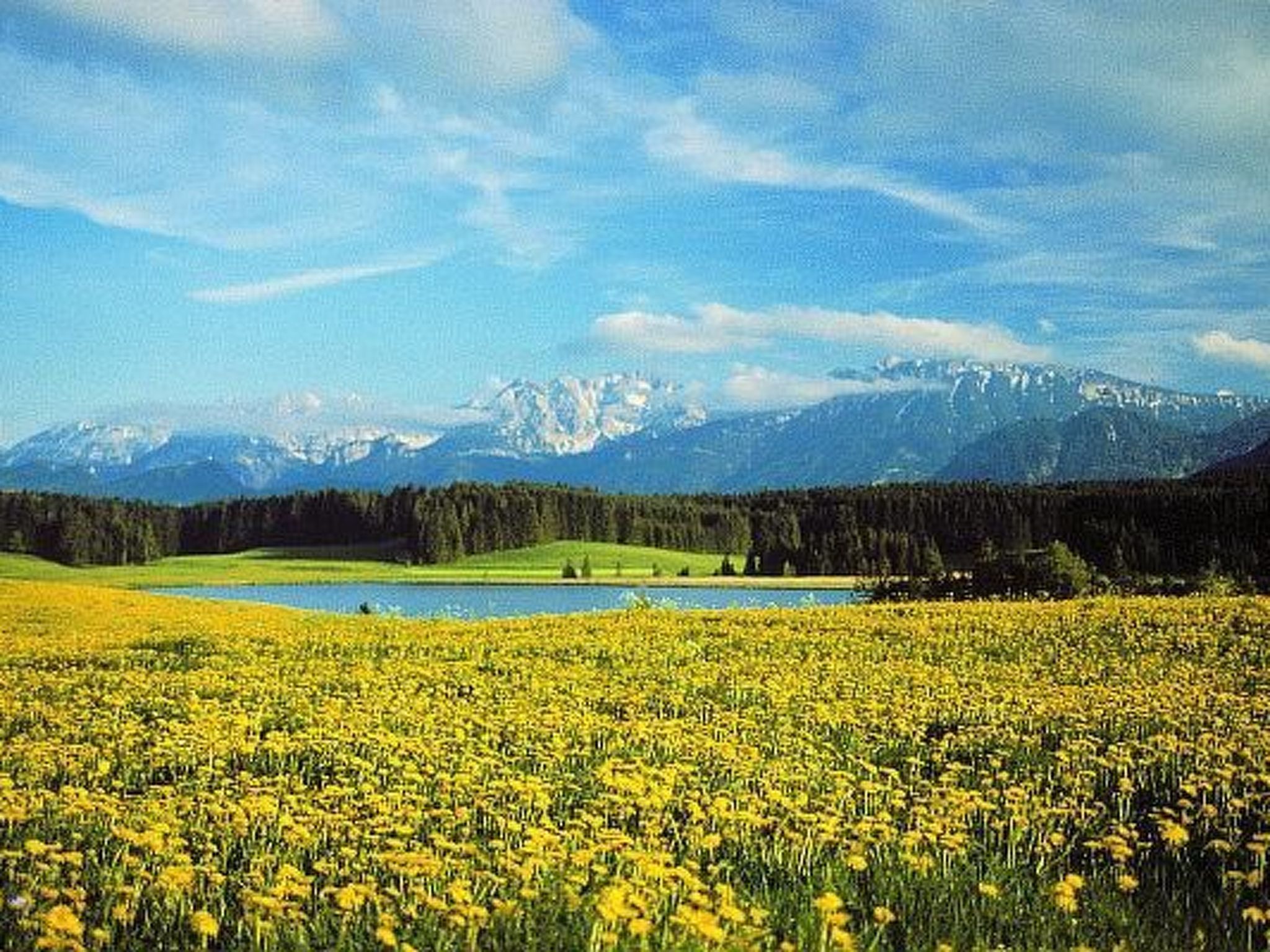 Appartement incl. KC-Inside