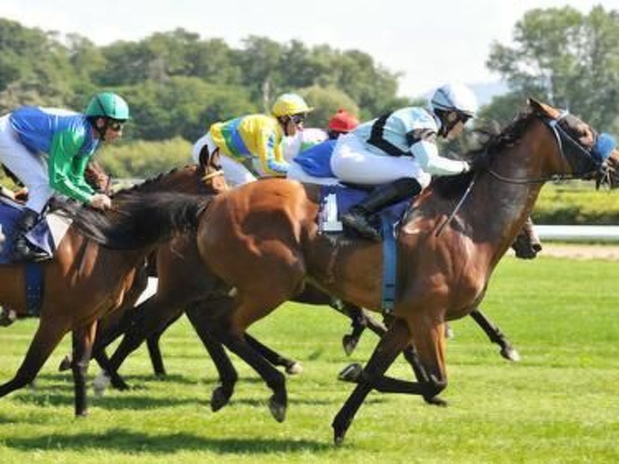 Traumwohnung-Image-tags.info