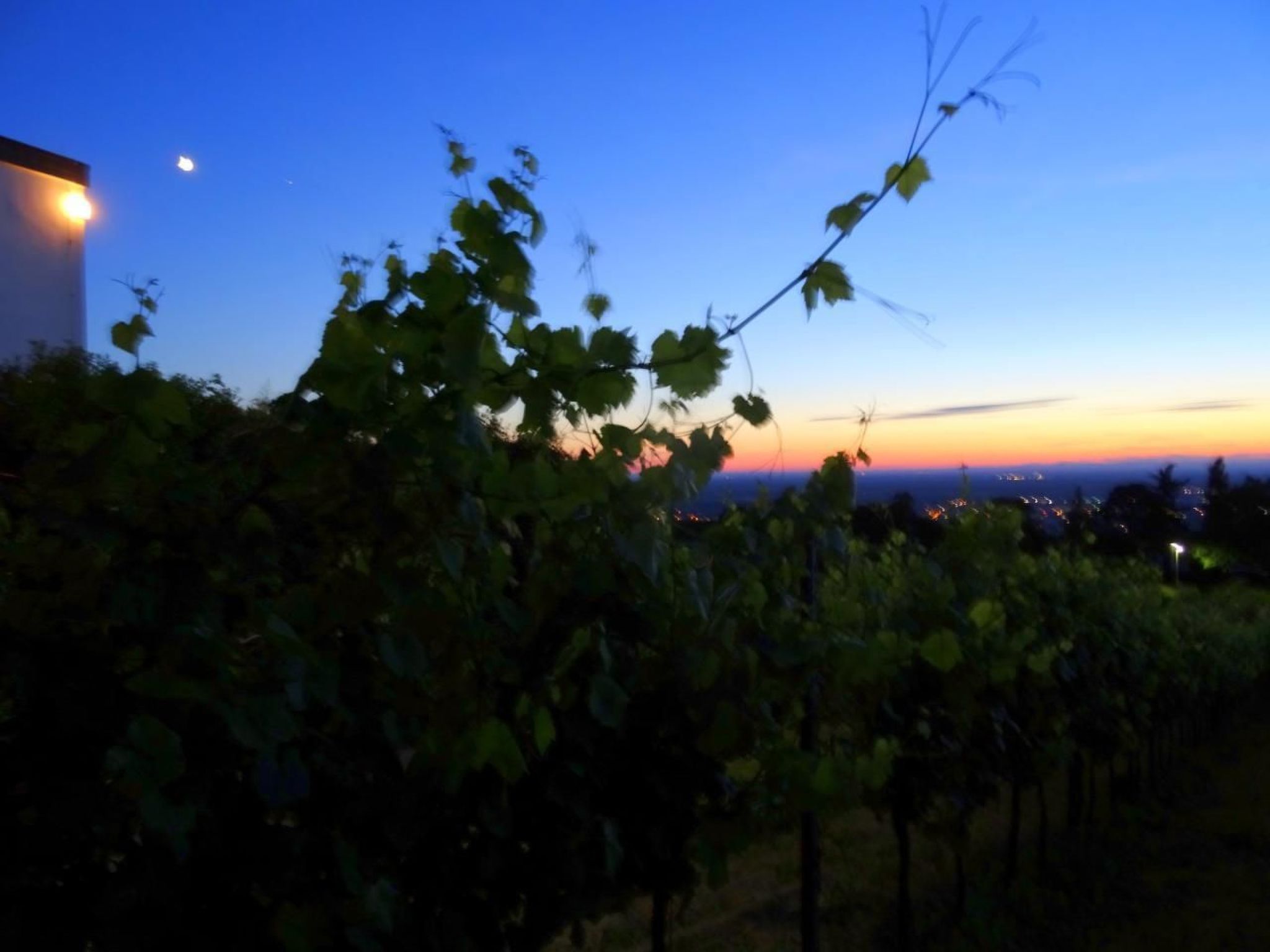 Traumwohnung-Image-tags.info