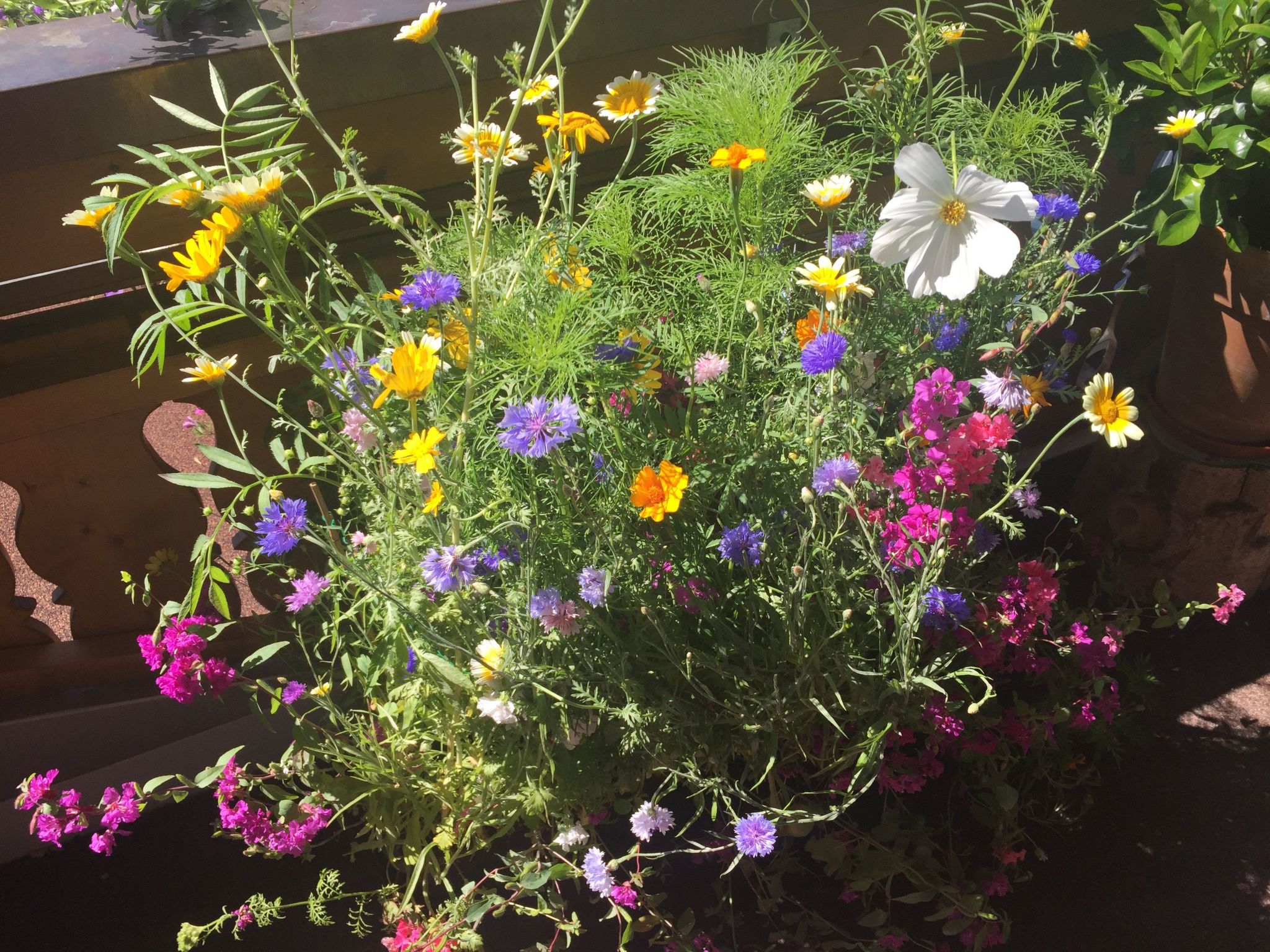 Fewo Bergblick lodge-Drinnen