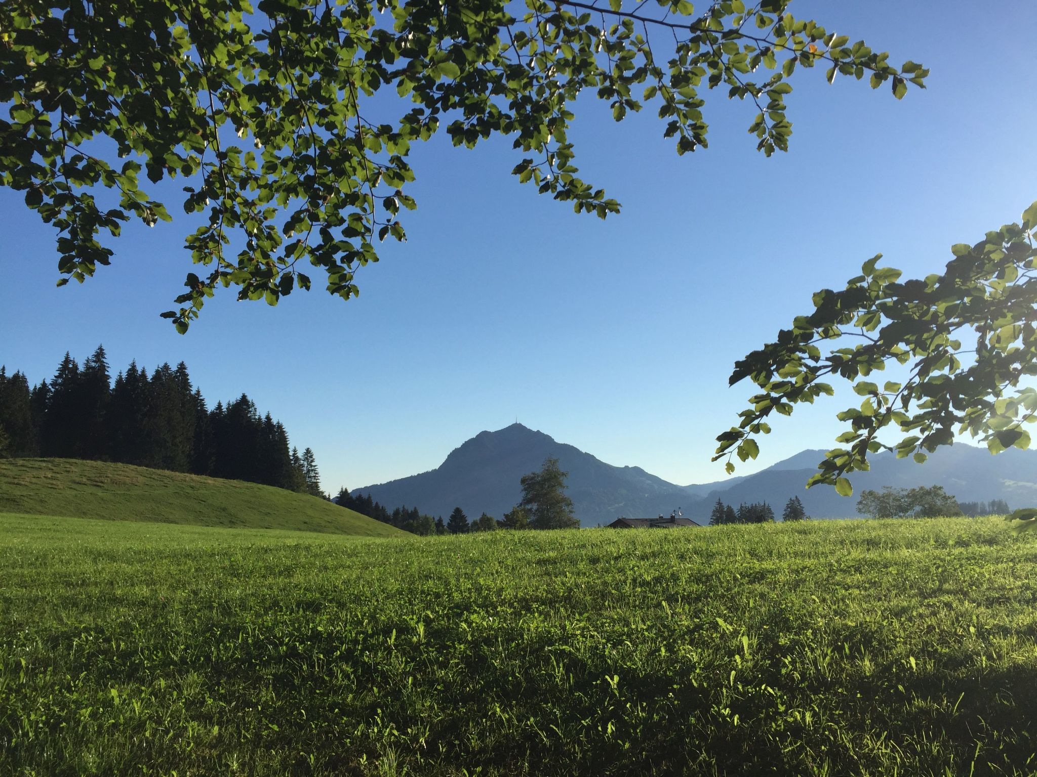 Fewo Bergblick lodge-Drinnen