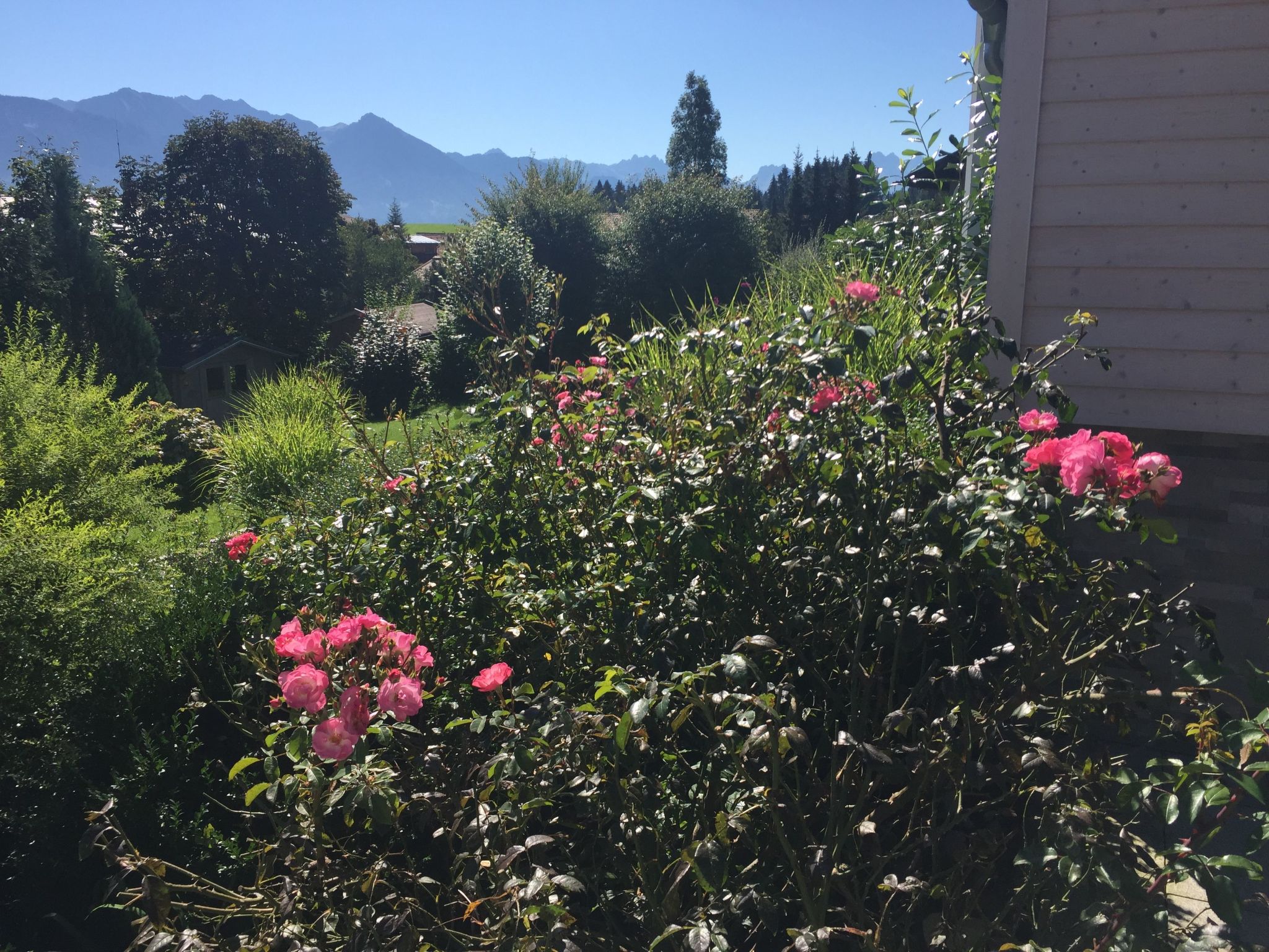 Fewo Bergblick lodge-Drinnen