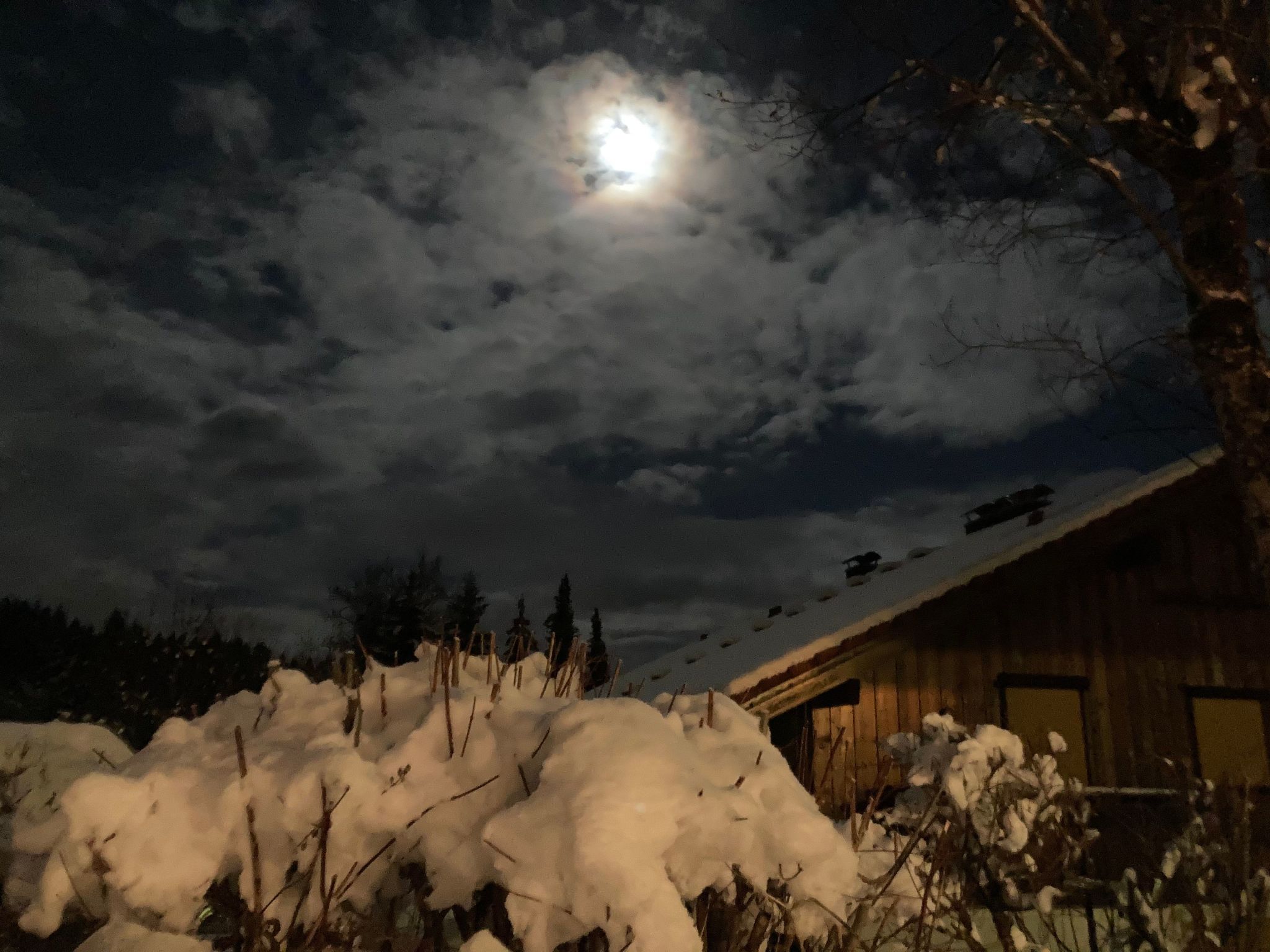 Fewo Bergblick lodge-Drinnen