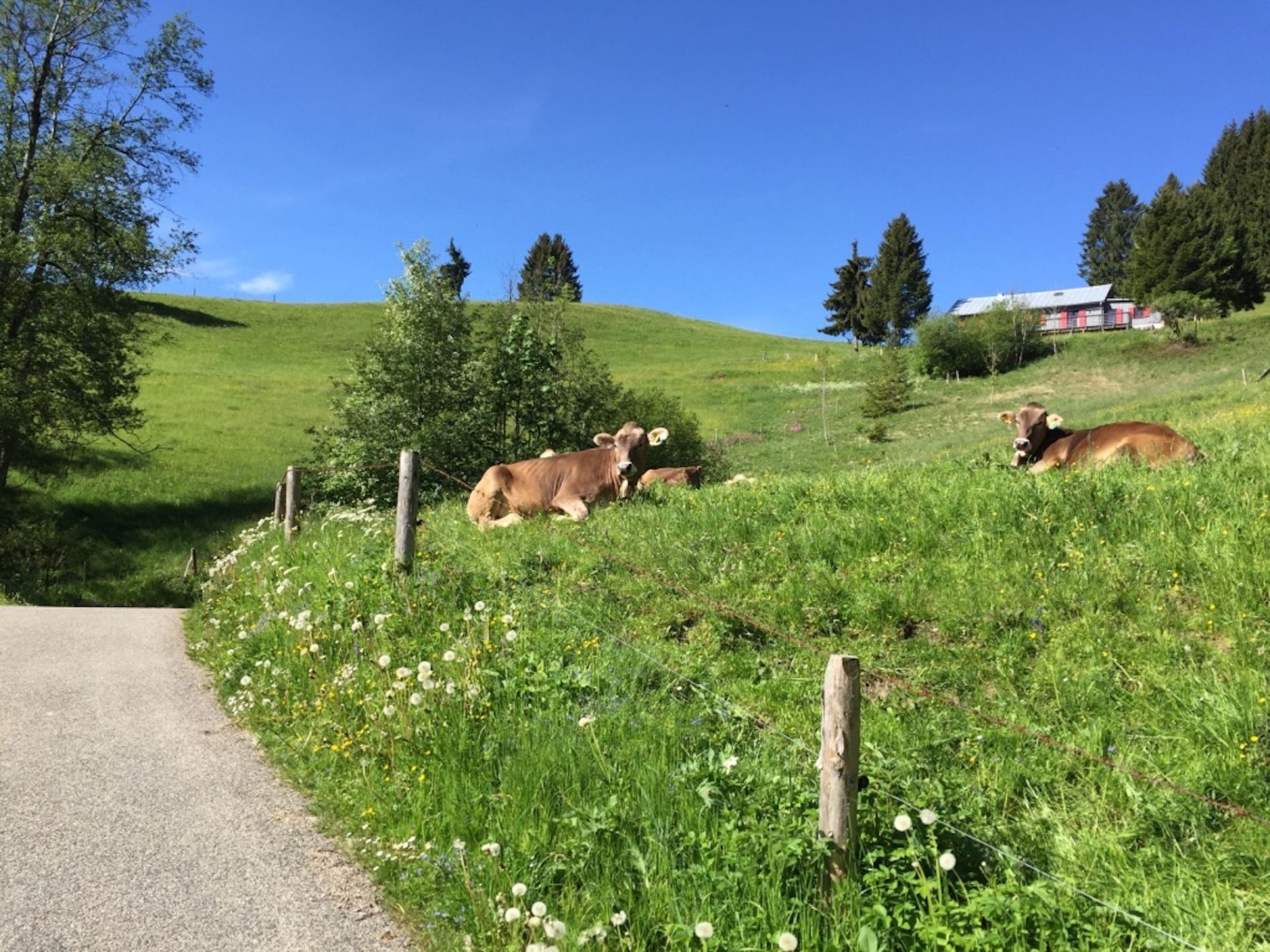 Photo of Sehnsucht Allgäu