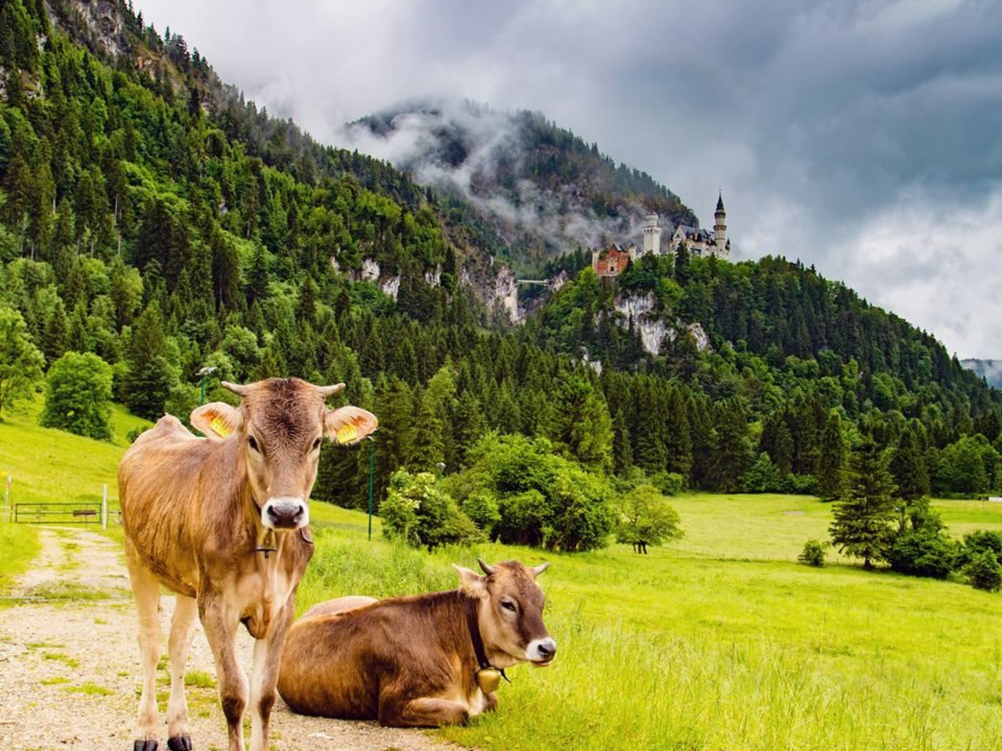 Photo of Sehnsucht Allgäu